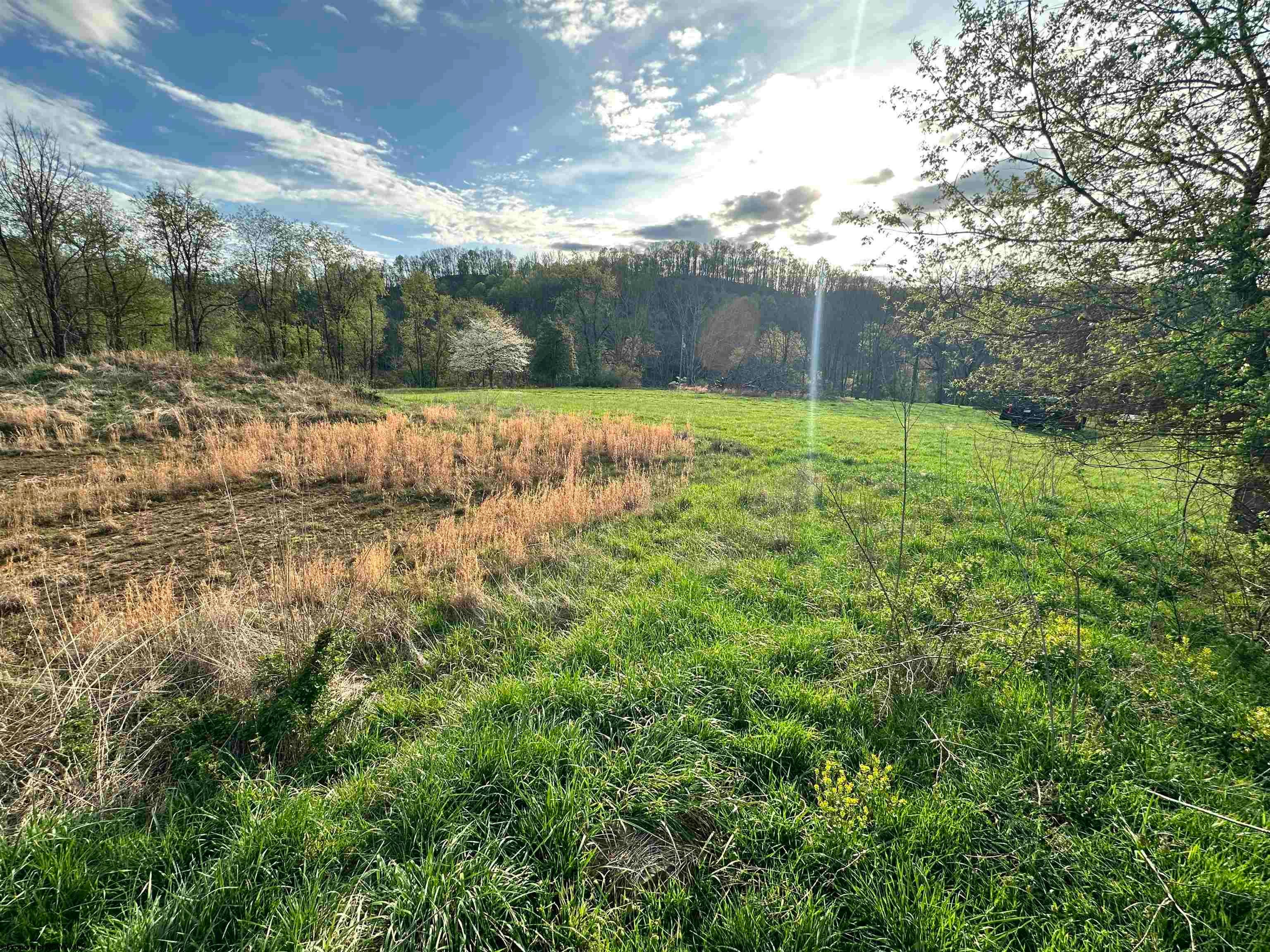 5601 Clover Fork Road Orlando, WV 26412 - Photo 24 of 44 Gallery Image 24