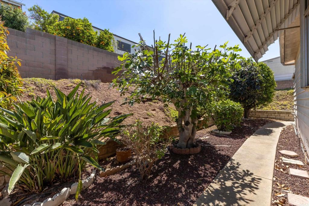 1175 La Moree Road, Unit 10 San Marcos, CA 92078 - Photo 30 of 40 a backyard of a house with lots of green space