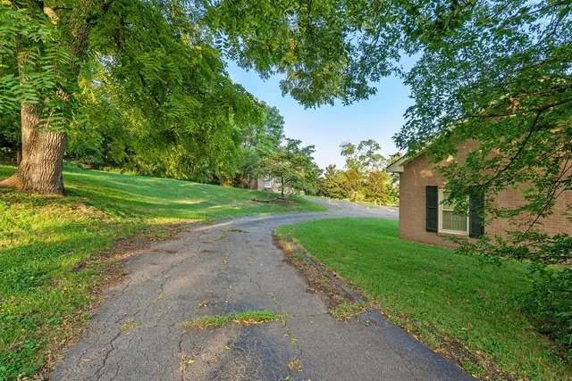 a view of a yard with large trees