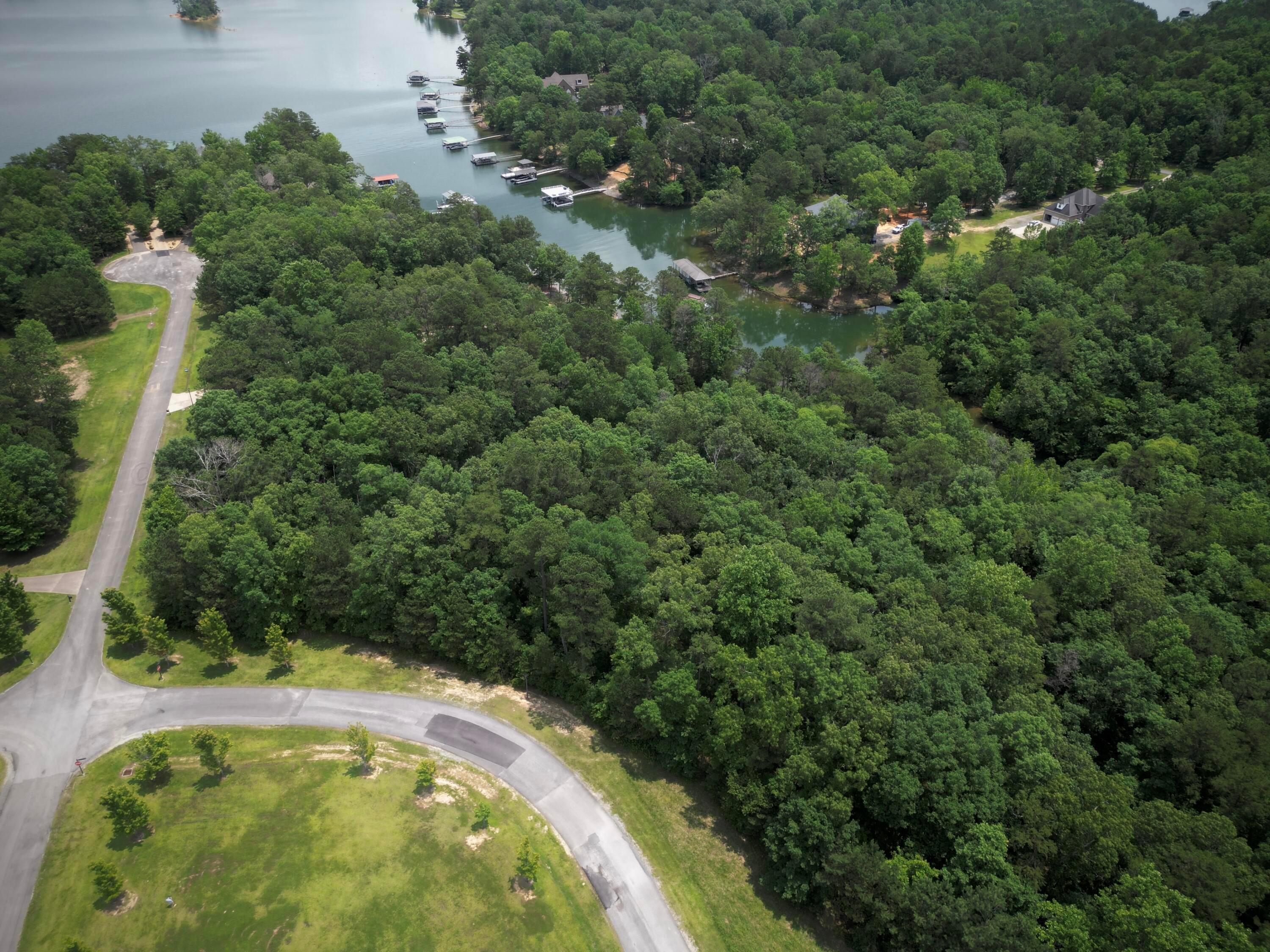 Lot 31 Stoney Point Road Double Springs, AL 35553 - Photo 3 of 22 image31