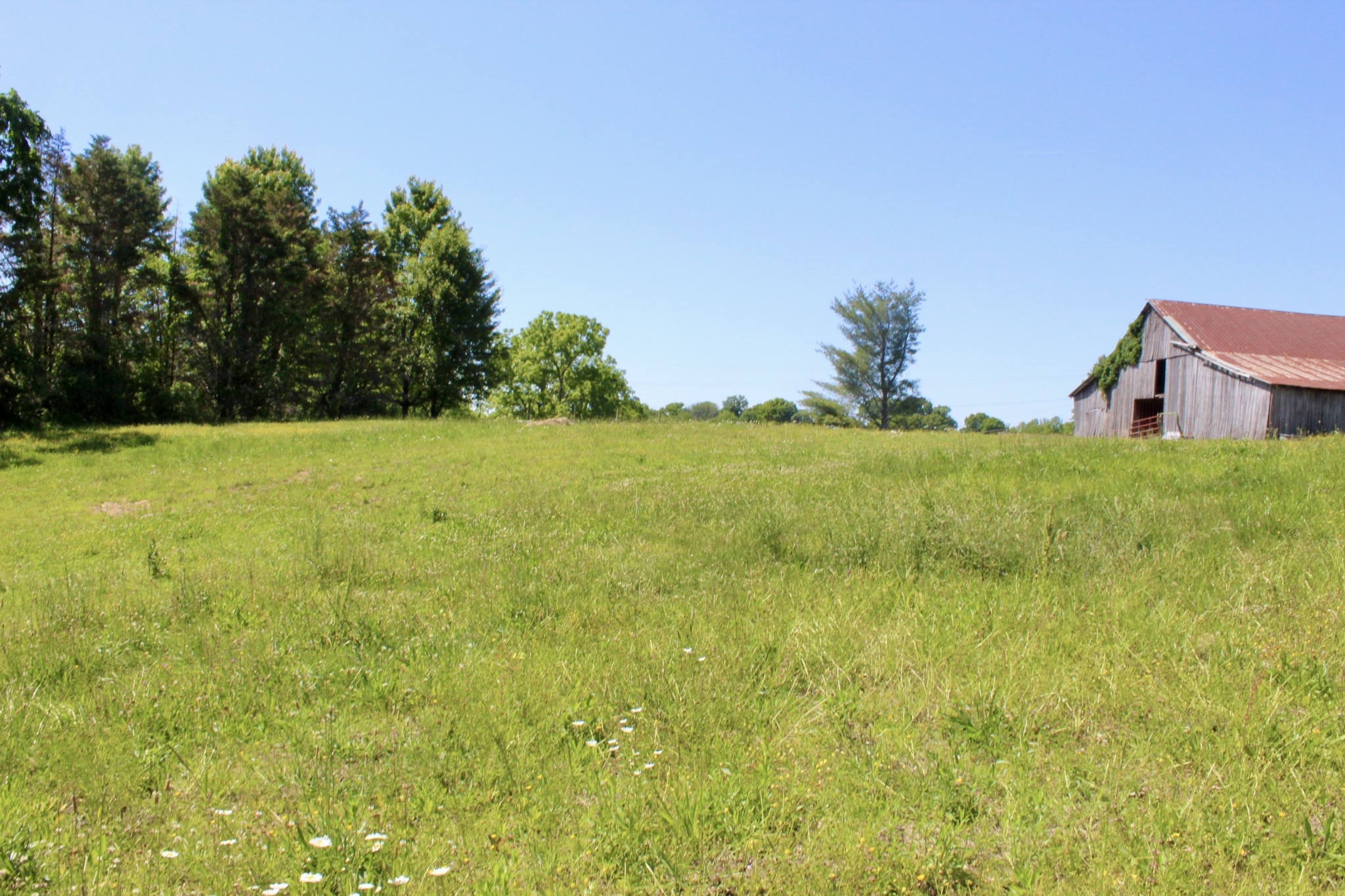 0 Hall Road Greenbrier, TN 37073 - Photo 1 of 28 a view of an ocean from a yard