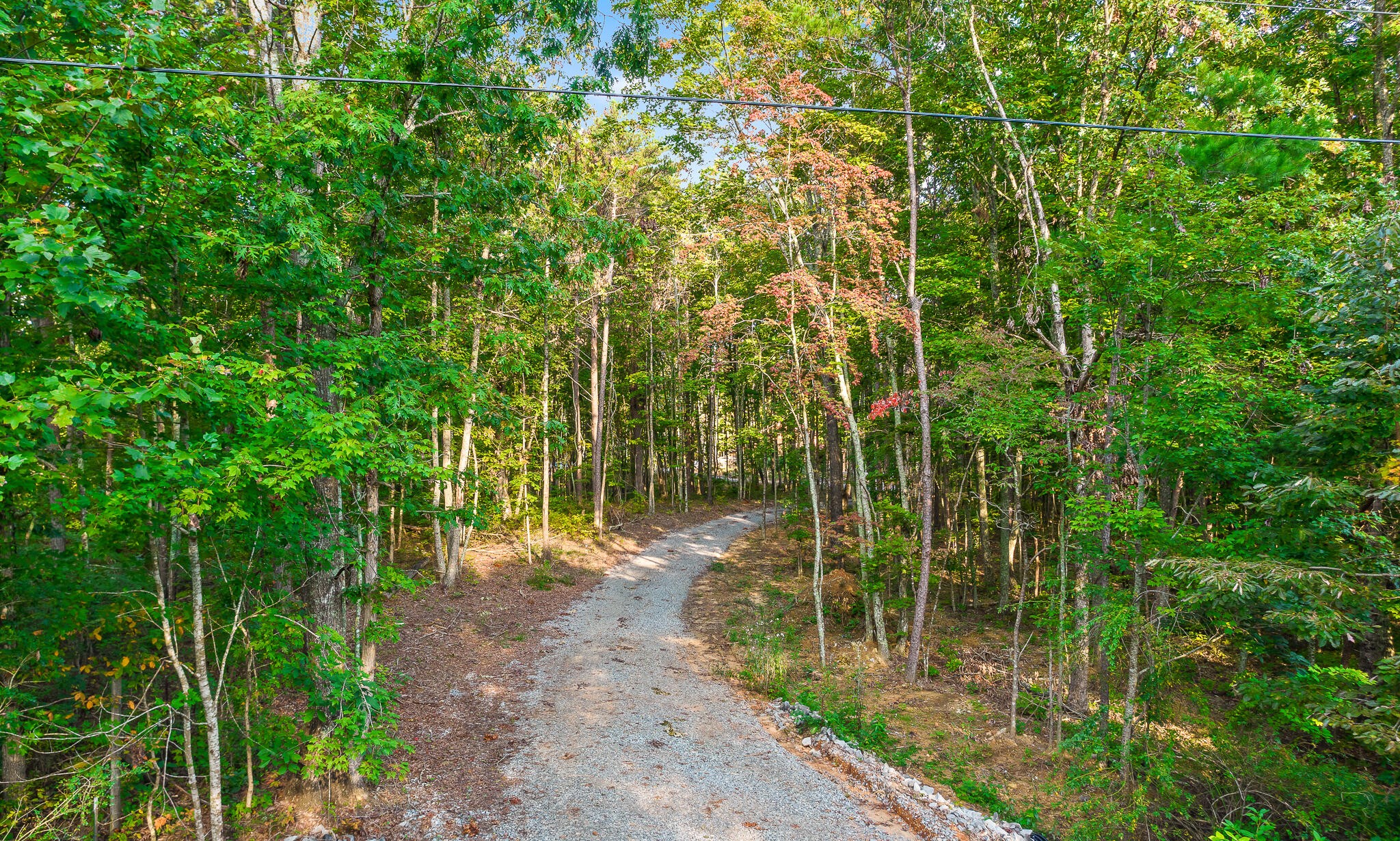 8903 Hixson Springs Road Signal Mountain, TN 37377 - Photo 33 of 43 Gallery Image 33
