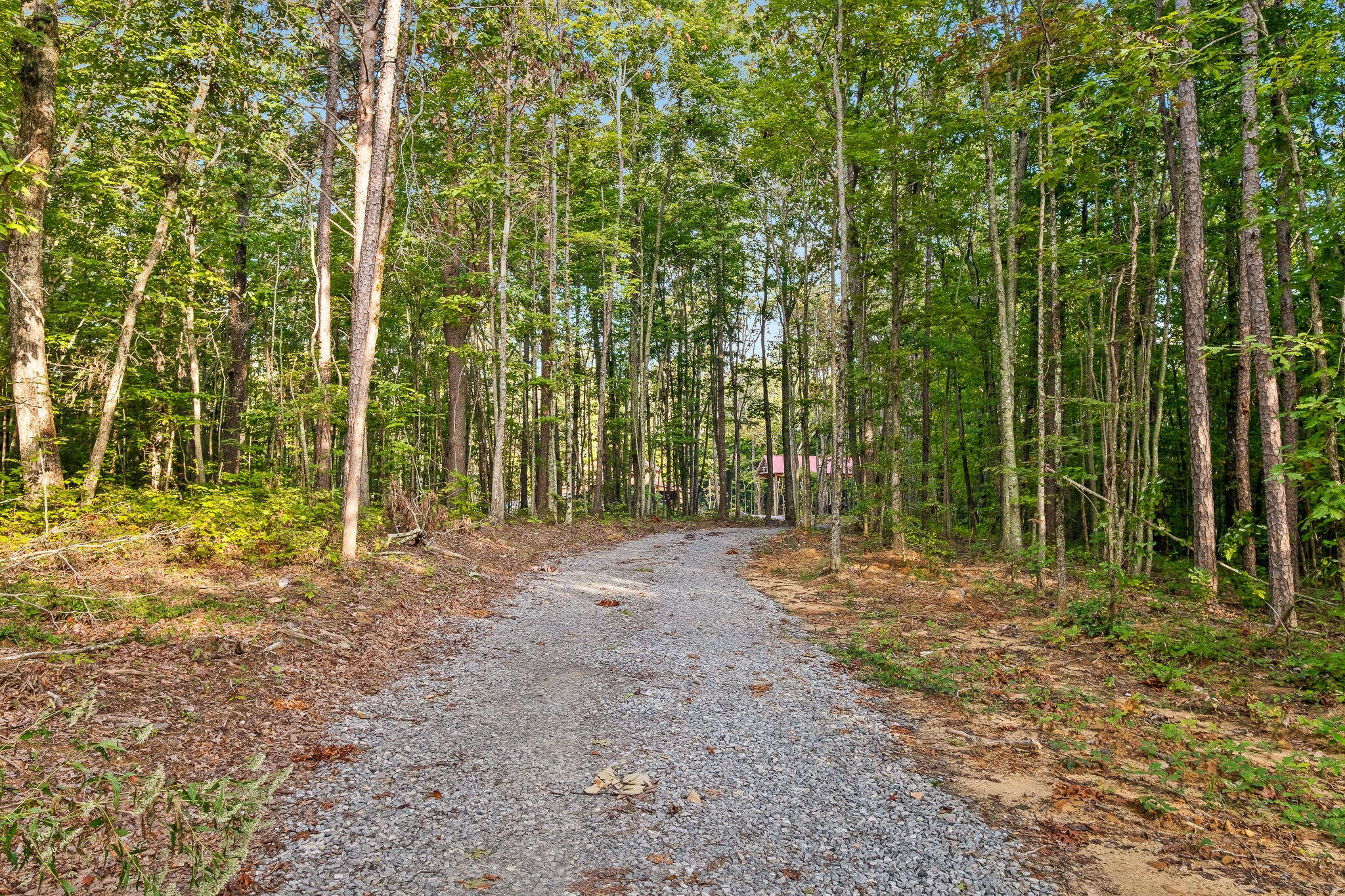 8903 Hixson Springs Road Signal Mountain, TN 37377 - Photo 10 of 43 Gallery Image 10