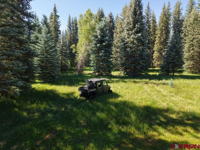 201 Golden Forest Road Bayfield, CO 81122 - Photo 37 of 37
