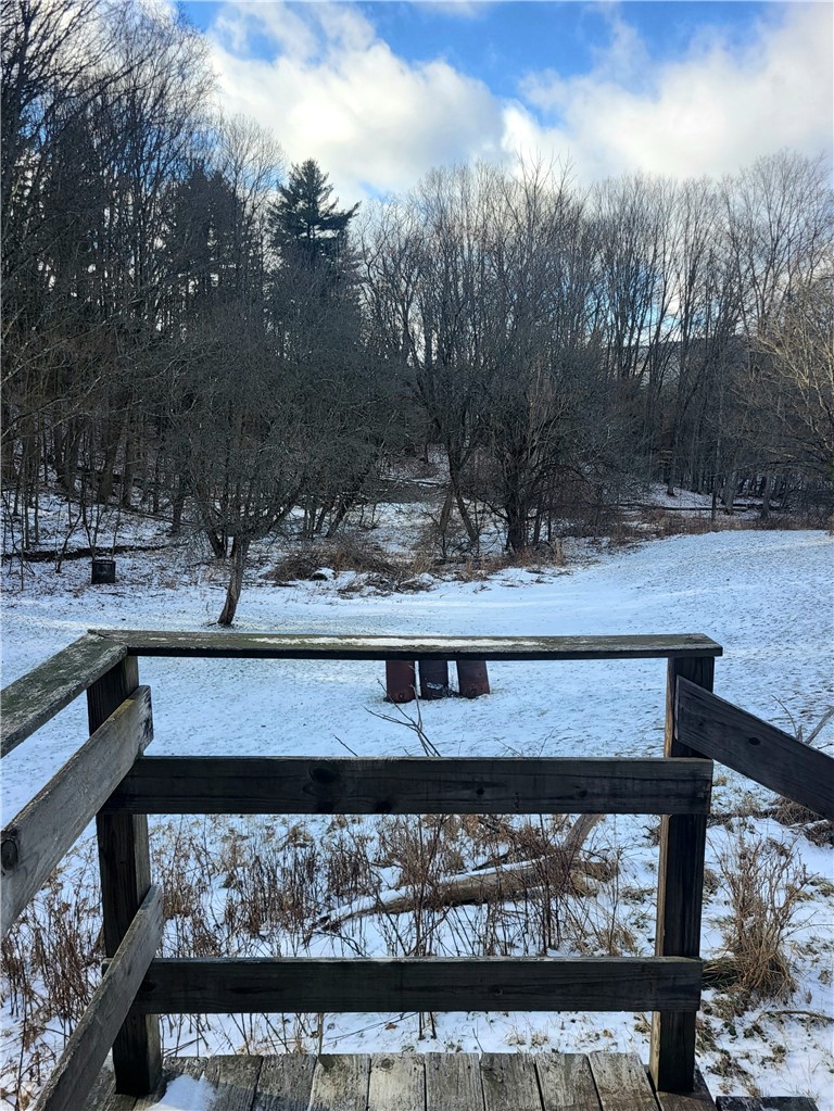 6020 Dublin Road Howard, NY 14823 - Photo 16 of 25