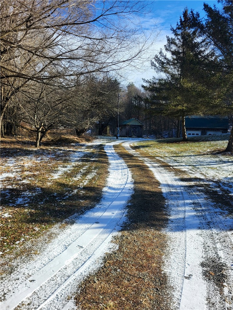 6020 Dublin Road Howard, NY 14823 - Photo 2 of 25
