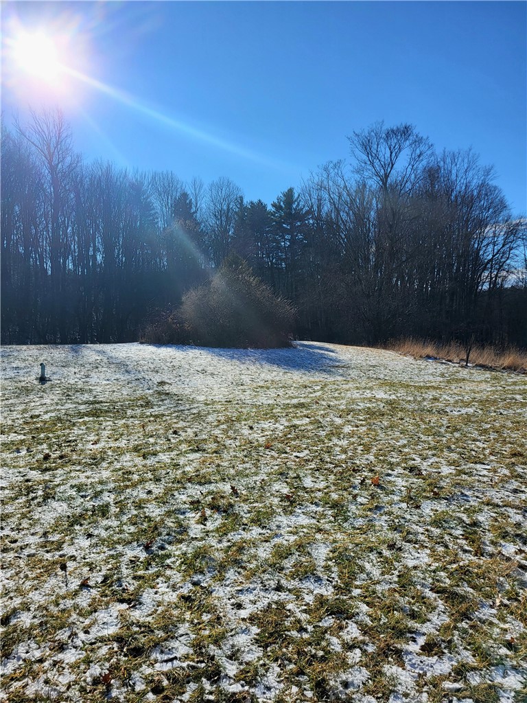6020 Dublin Road Howard, NY 14823 - Photo 22 of 25