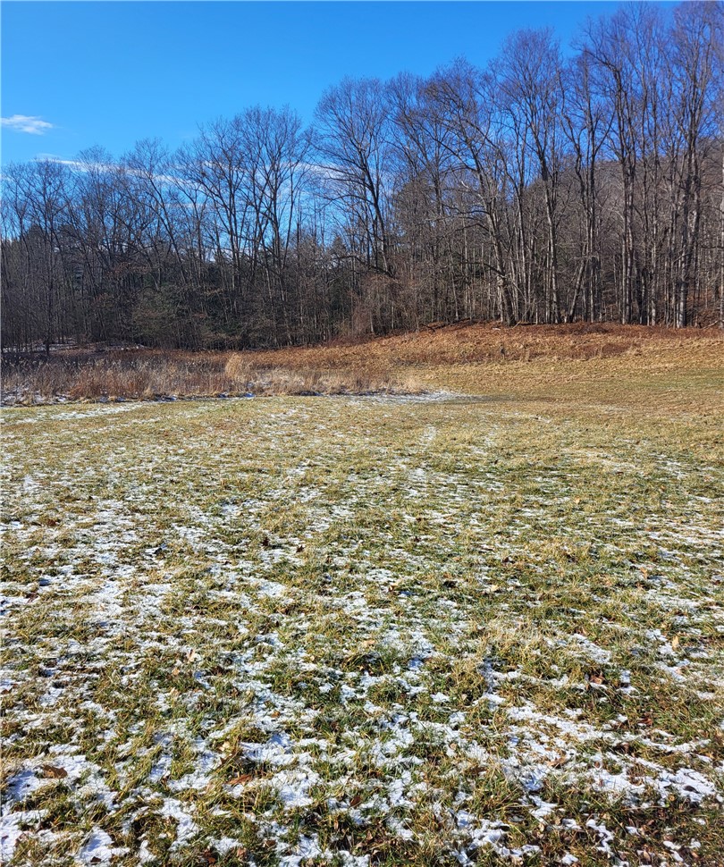 6020 Dublin Road Howard, NY 14823 - Photo 23 of 25