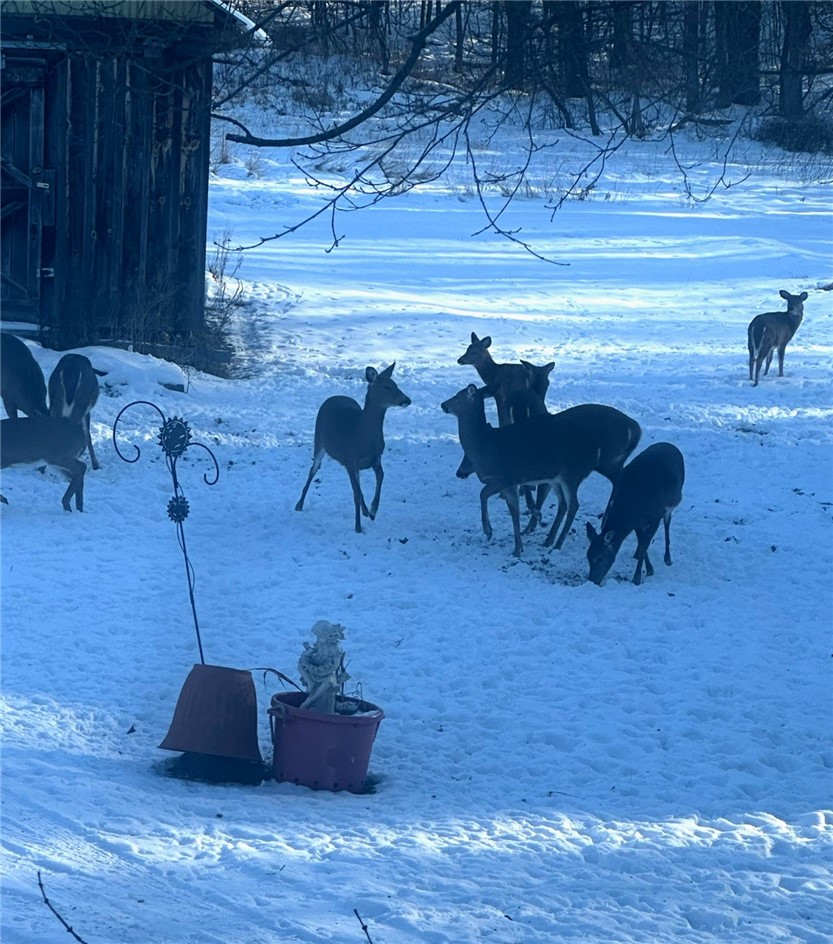 6020 Dublin Road Howard, NY 14823 - Photo 24 of 25