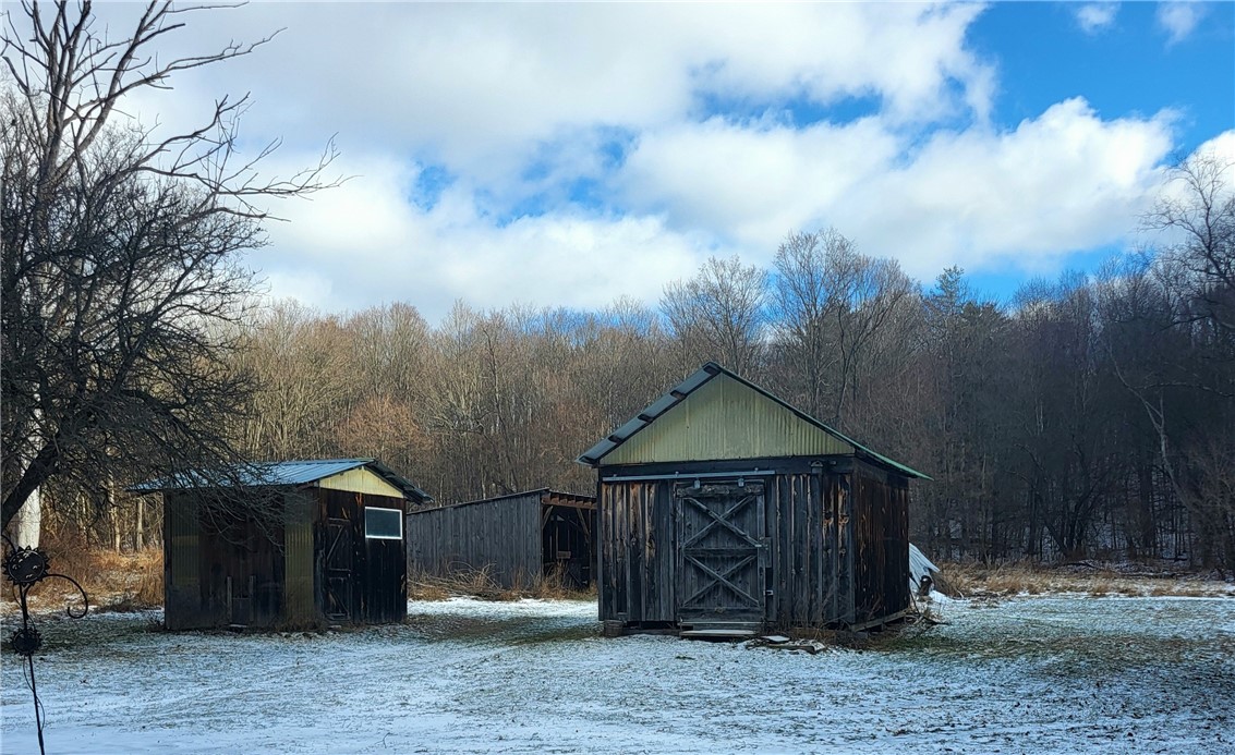 6020 Dublin Road Howard, NY 14823 - Photo 6 of 25