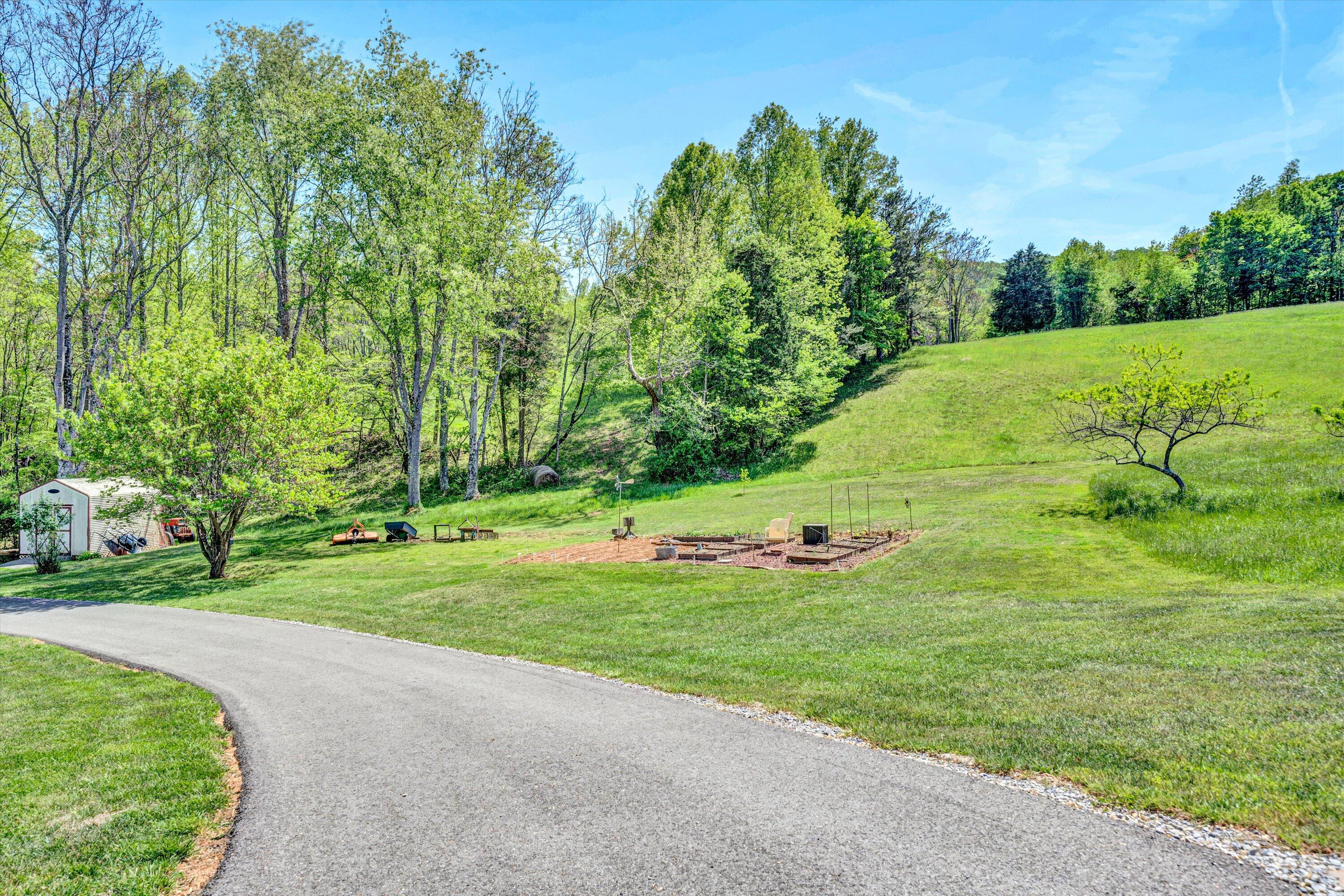 1033 Annie Bell Road Blue Ridge, VA 24064 - Photo 36 of 46 a view of a field of grass and trees