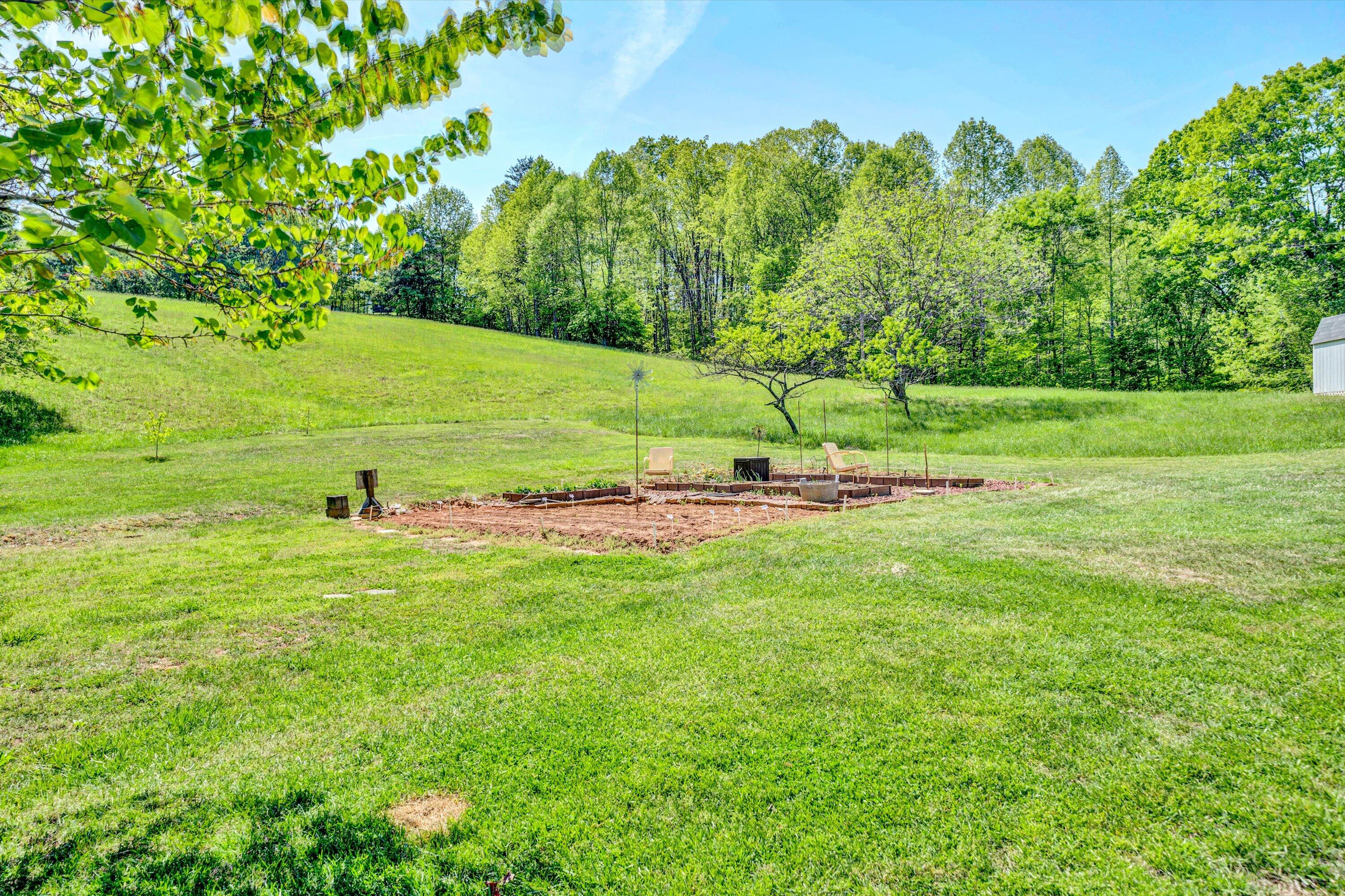1033 Annie Bell Road Blue Ridge, VA 24064 - Photo 40 of 46 a view of a field with a tree