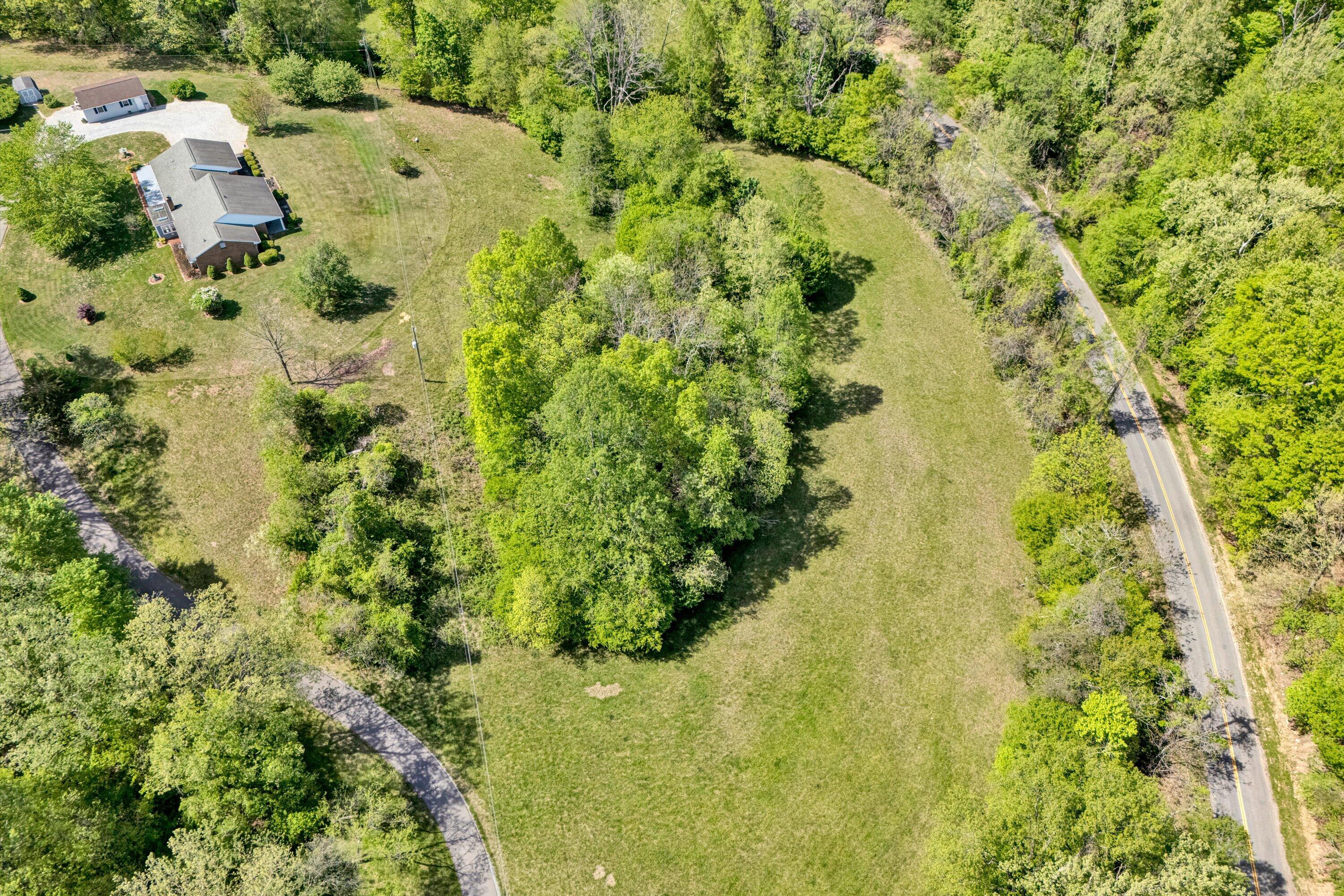 1033 Annie Bell Road Blue Ridge, VA 24064 - Photo 44 of 46 a view of a garden