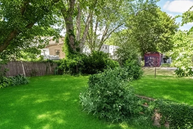 a view of a backyard with plants and a tree