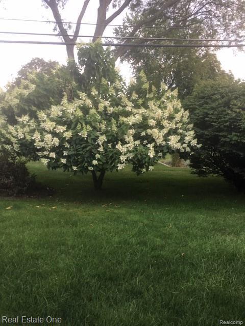 976 South Reading Road Bloomfield Hills, MI 48304 - Photo 34 of 38 Summer photo