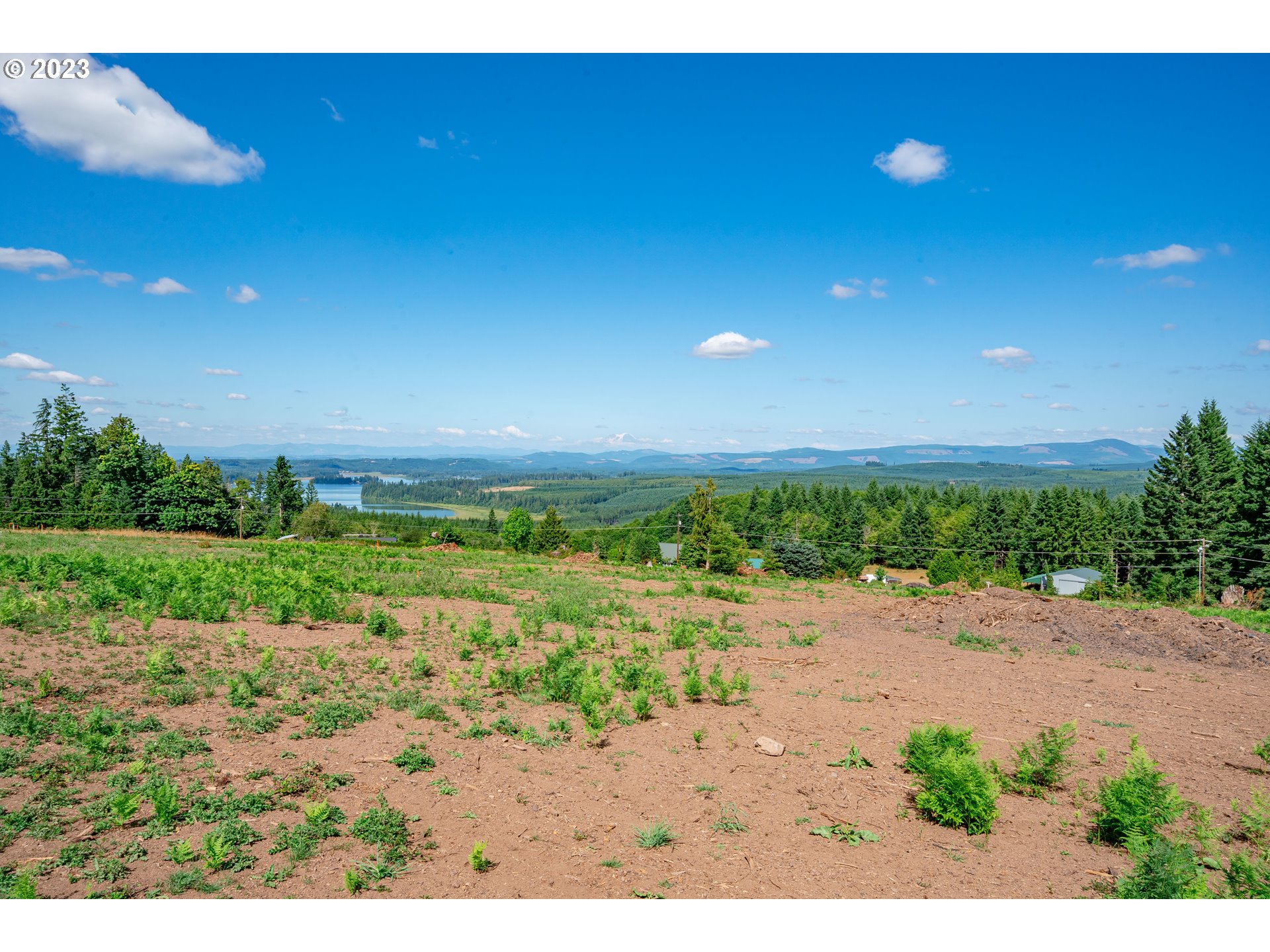 0 South Silver Lake Road, Unit 4 Castle Rock, WA 98611 - Photo 2 of 10