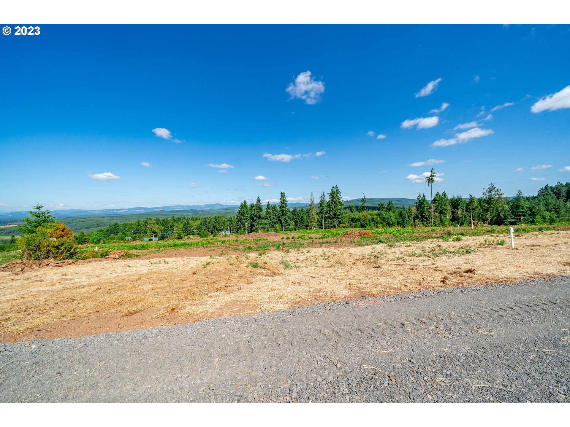 0 South Silver Lake Road, Unit 4 Castle Rock, WA 98611 - Photo 3 of 10