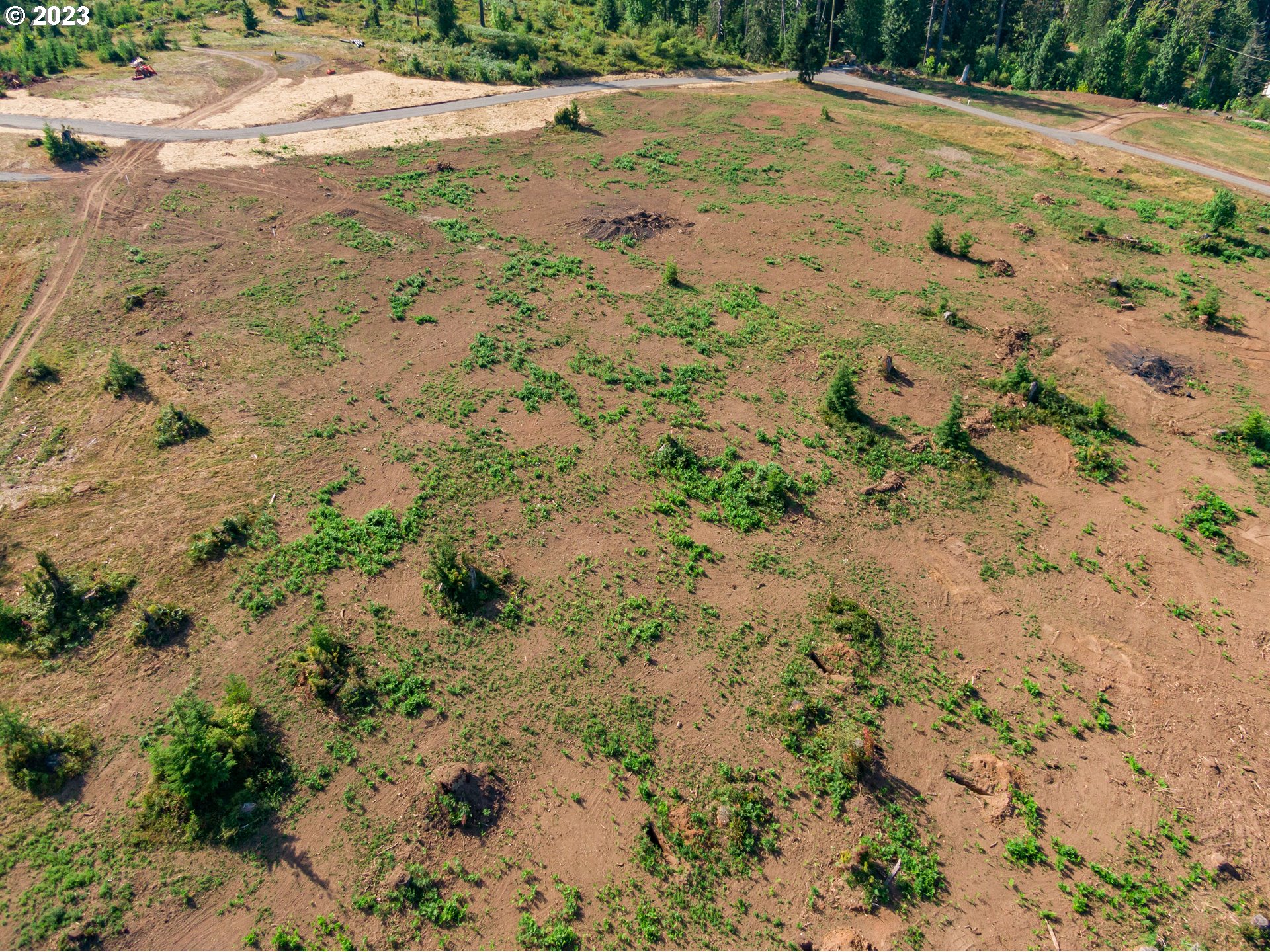 0 South Silver Lake Road, Unit 4 Castle Rock, WA 98611 - Photo 5 of 10