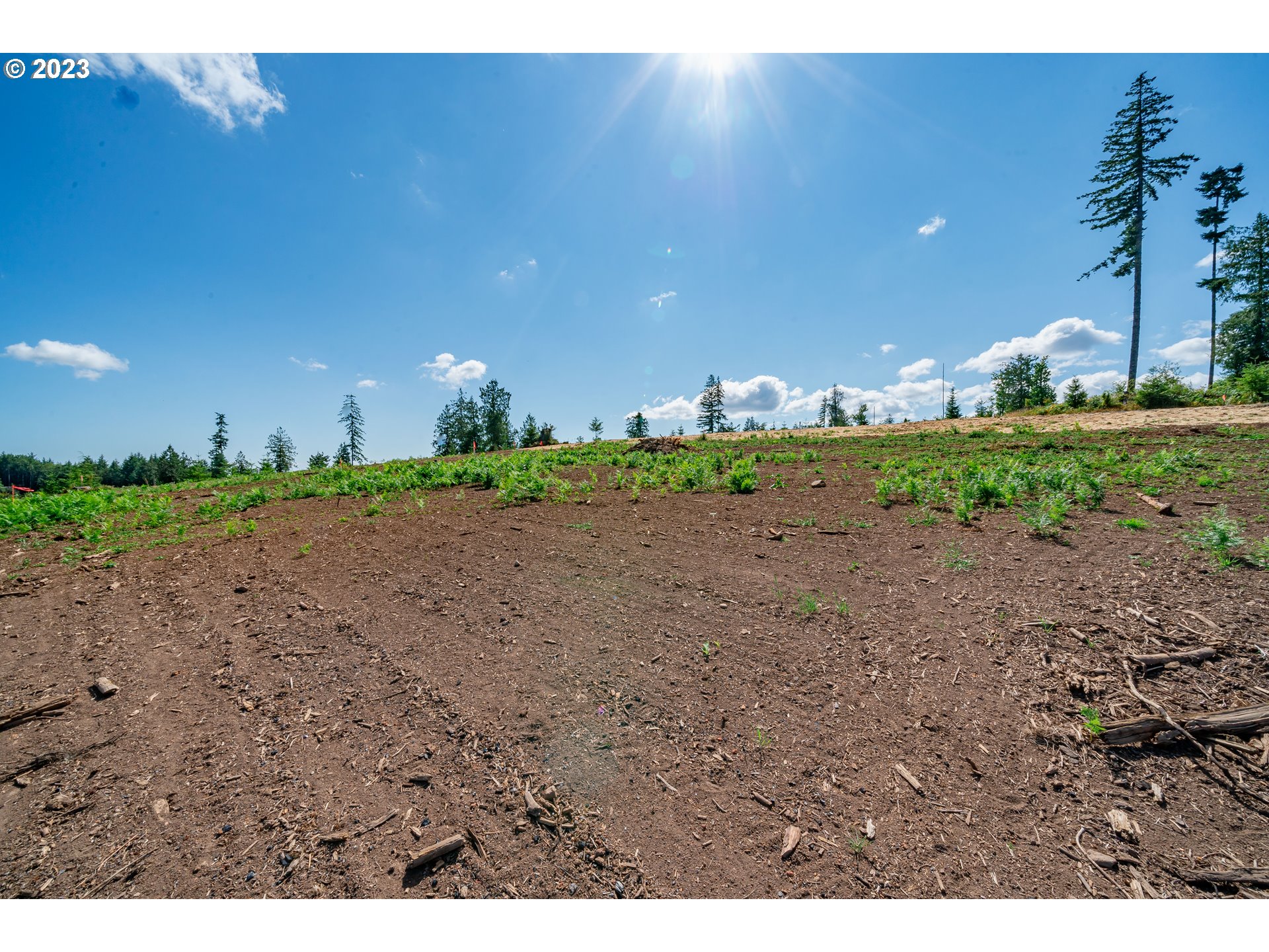 0 South Silver Lake Road, Unit 4 Castle Rock, WA 98611 - Photo 6 of 10