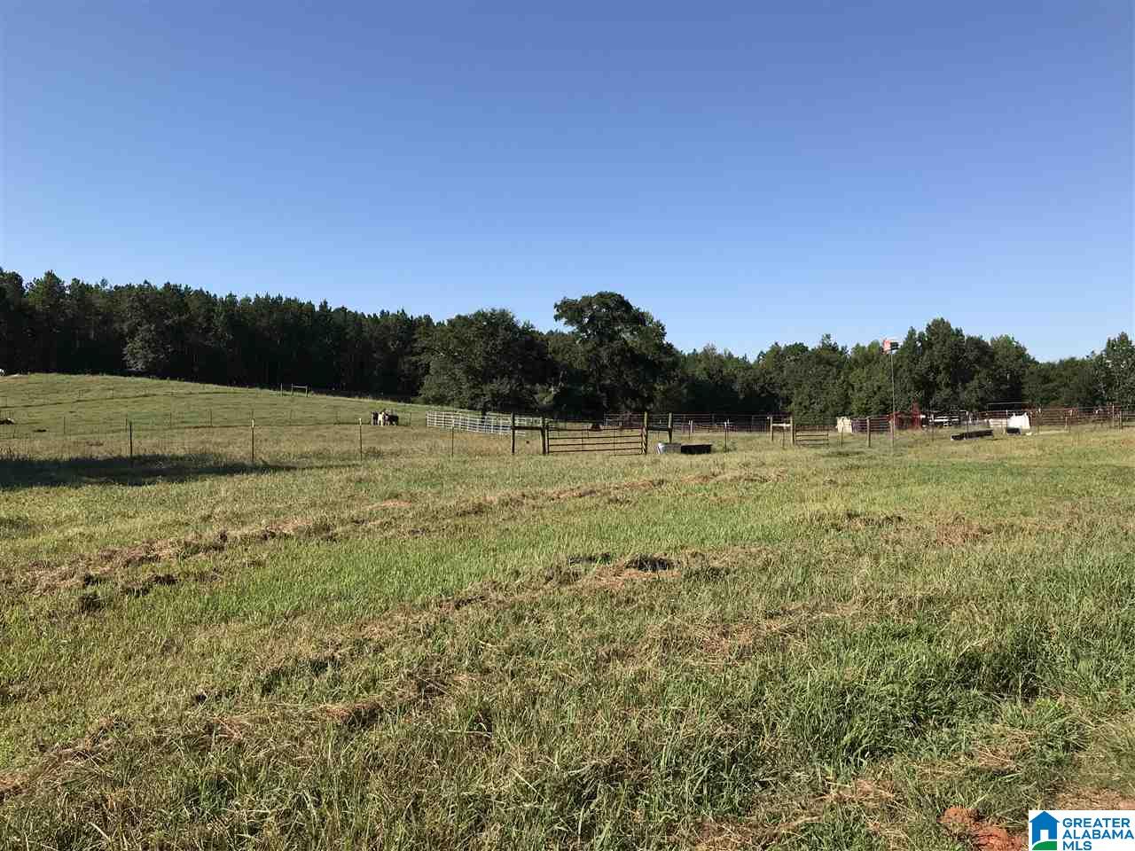 5425 East Mill Road Lineville, AL 36266 - Photo 33 of 50