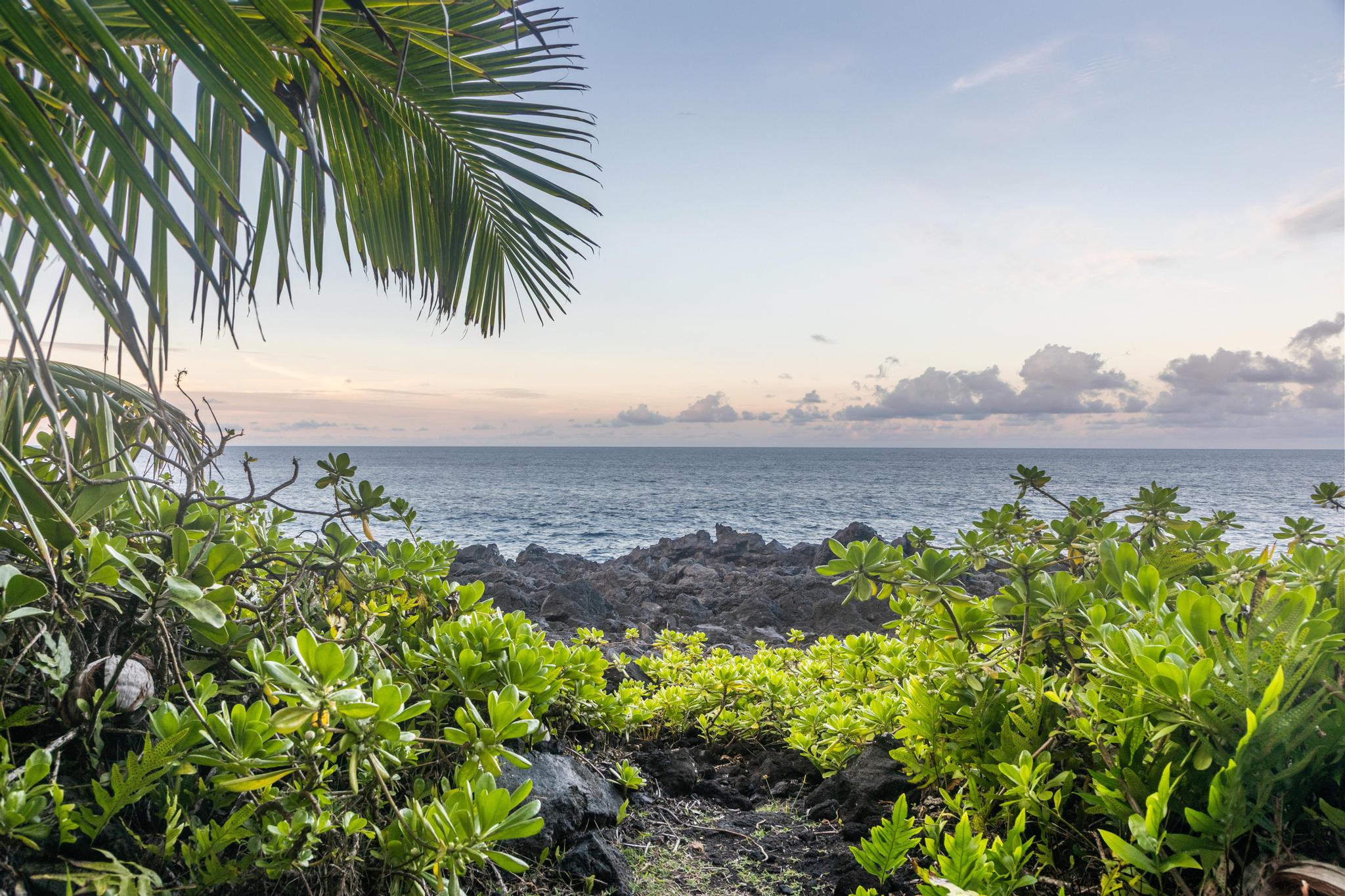 15-2649 Government Beach Road Pahoa, HI 96778 - Photo 10 of 30
