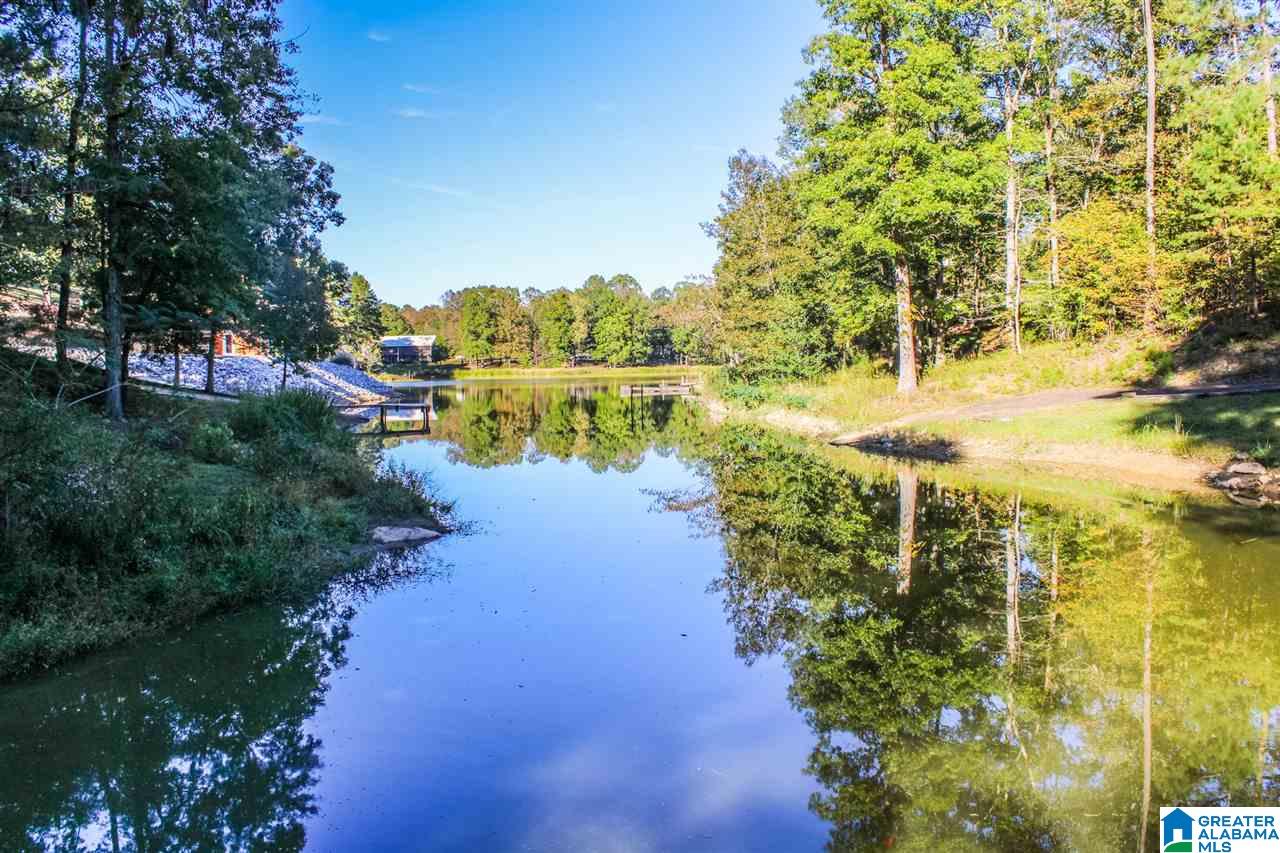 135 Hamilton Lane Riverside, AL 35135 - Photo 4 of 41 Gallery Image 4