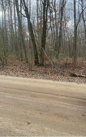 Lot 3 Pakes Road Stanton, MI 48888 - Photo 1 of 1 Front