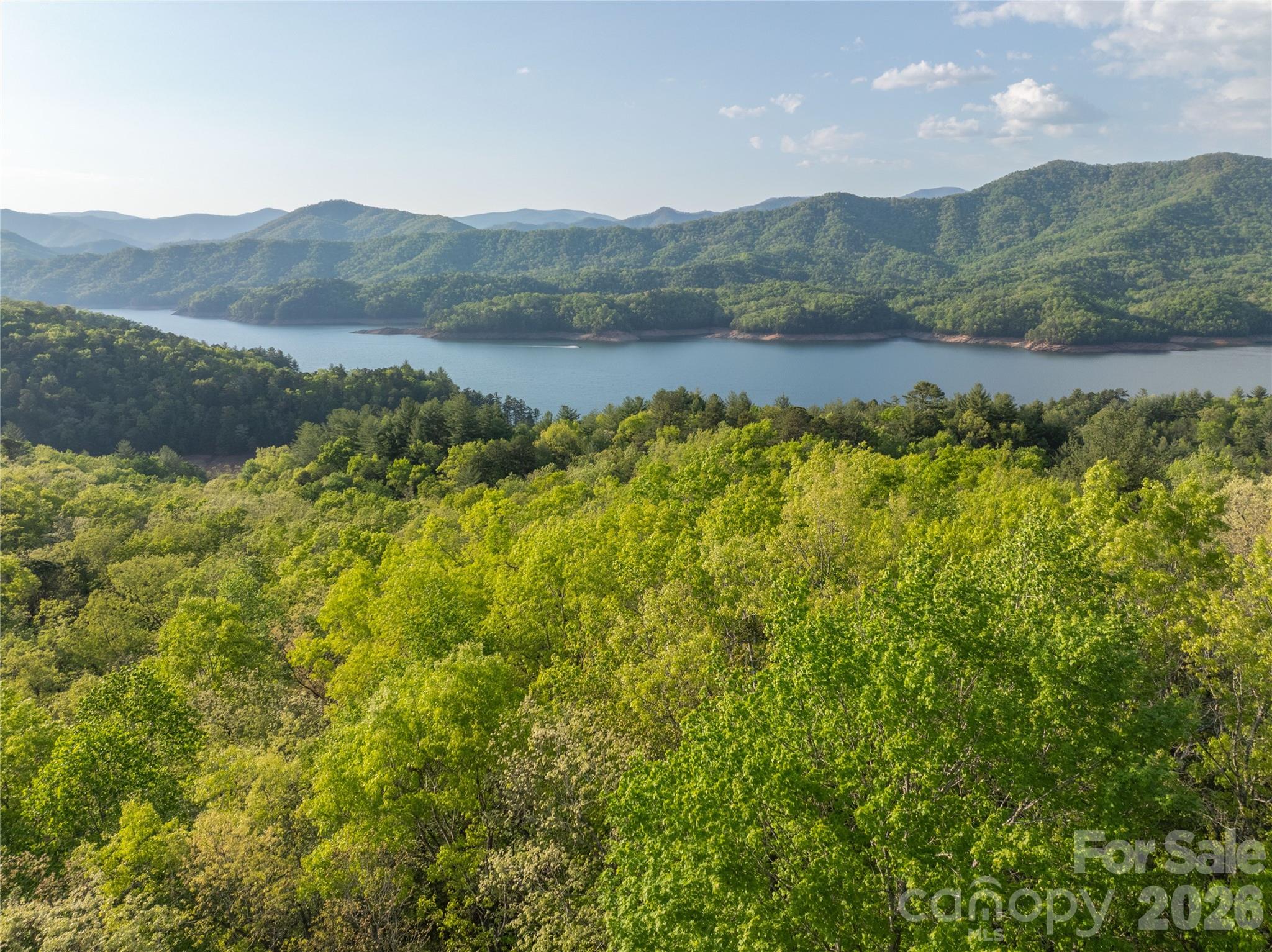 0 Howard Edwards Road Robbinsville, NC 28771 - Photo 11 of 21 a view of mountain with lake view
