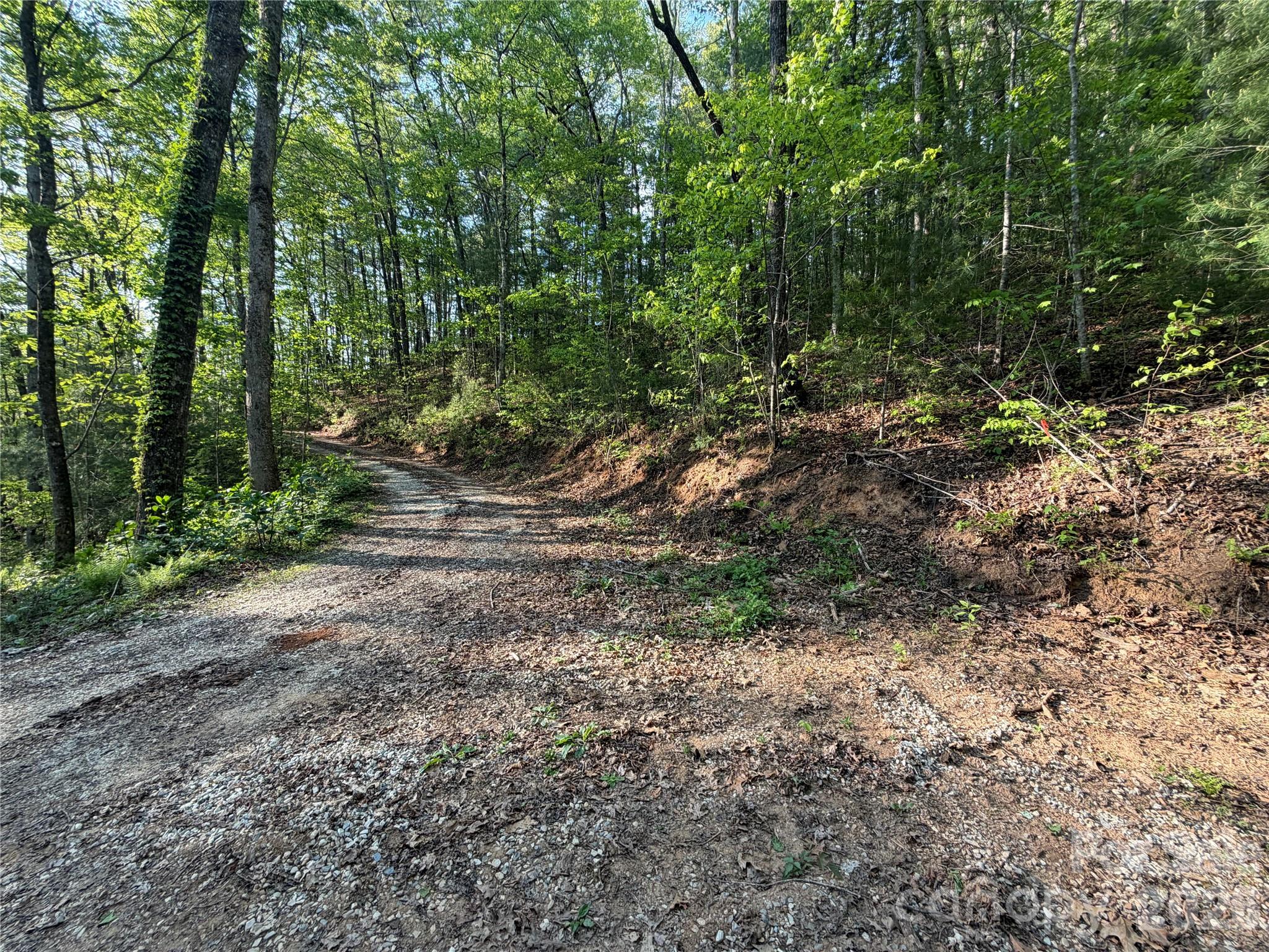 0 Howard Edwards Road Robbinsville, NC 28771 - Photo 21 of 21 a view of outdoor space and trees
