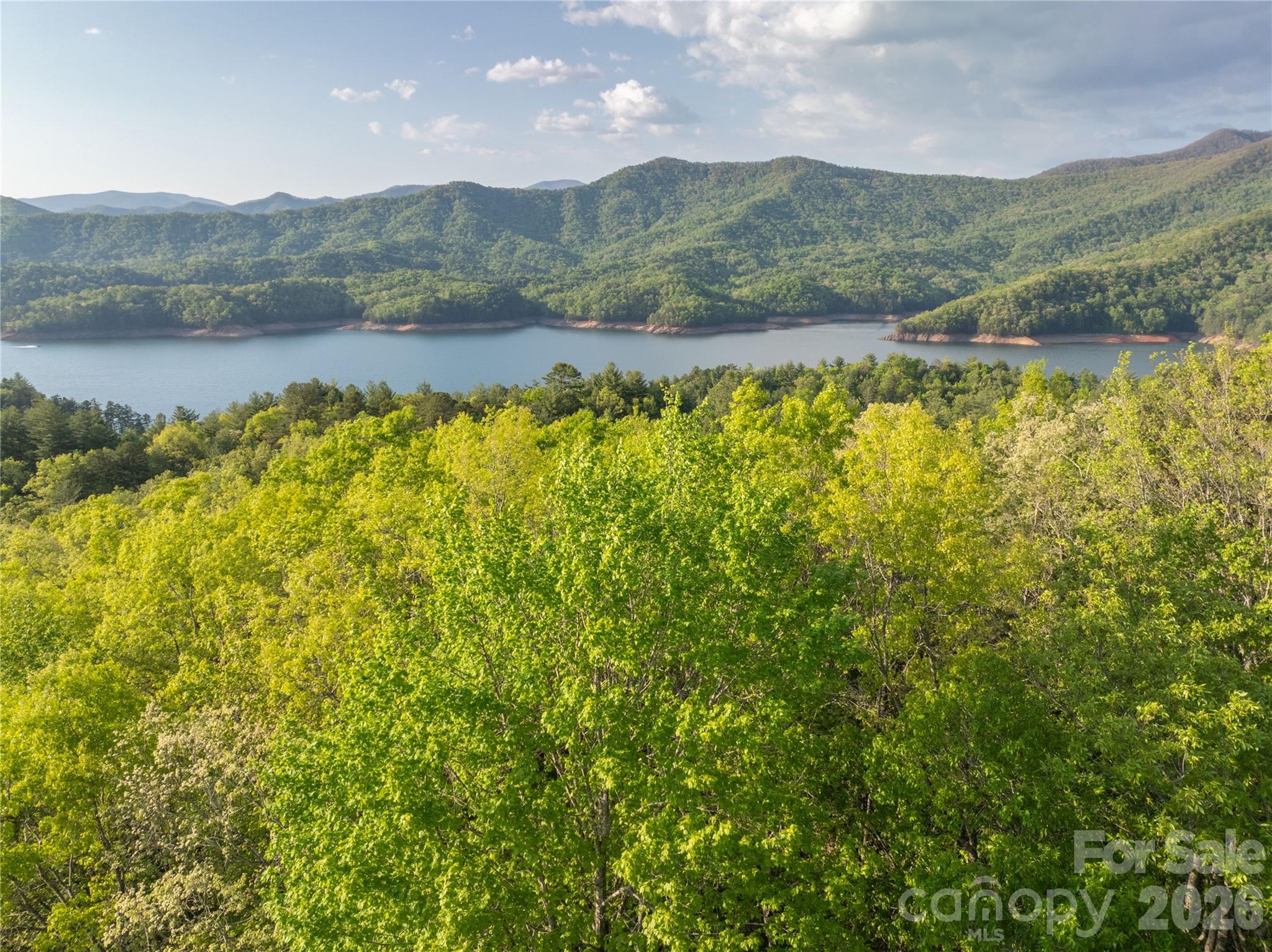 0 Howard Edwards Road Robbinsville, NC 28771 - Photo 3 of 21 a view of lake with mountain