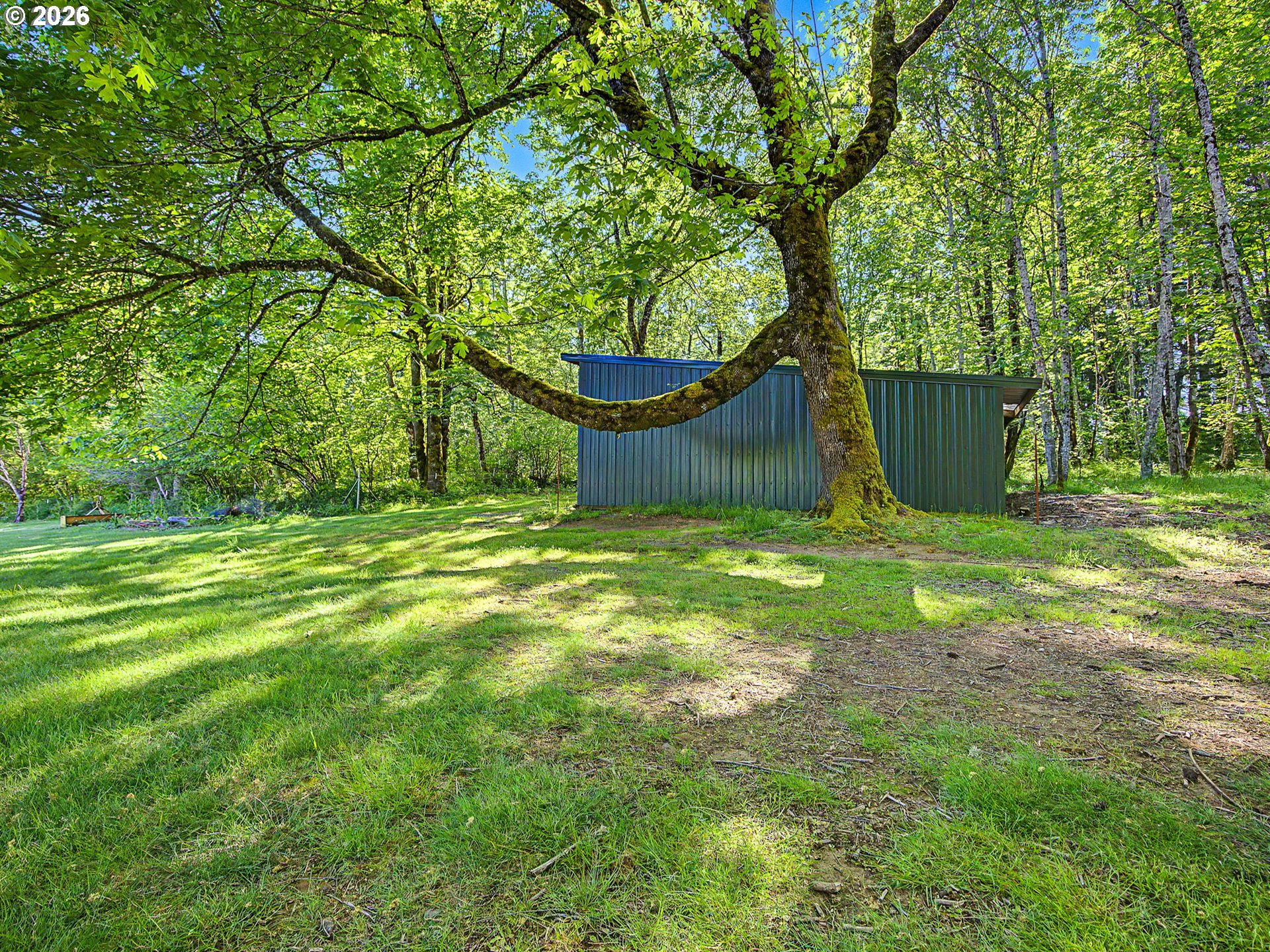 50995 Southeast Baty Road Sandy, OR 97055 - Photo 35 of 47 a view of a backyard with large trees
