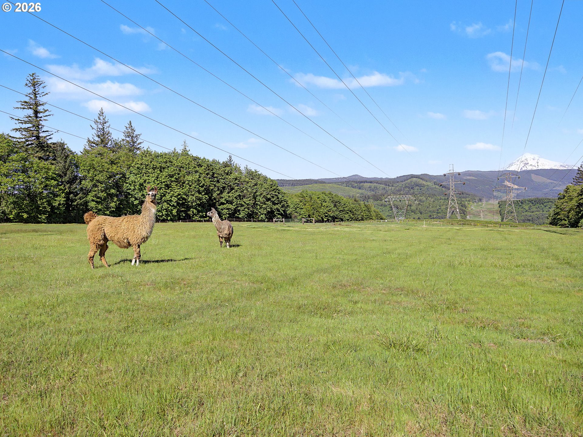 50995 Southeast Baty Road Sandy, OR 97055 - Photo 44 of 47 a view of outdoor space with mountain view