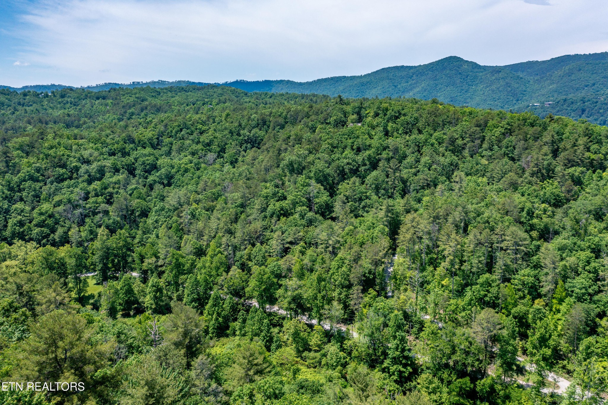 0 Chilhowee Loop Walland, TN 37886 - Photo 8 of 19 Gallery Image 8