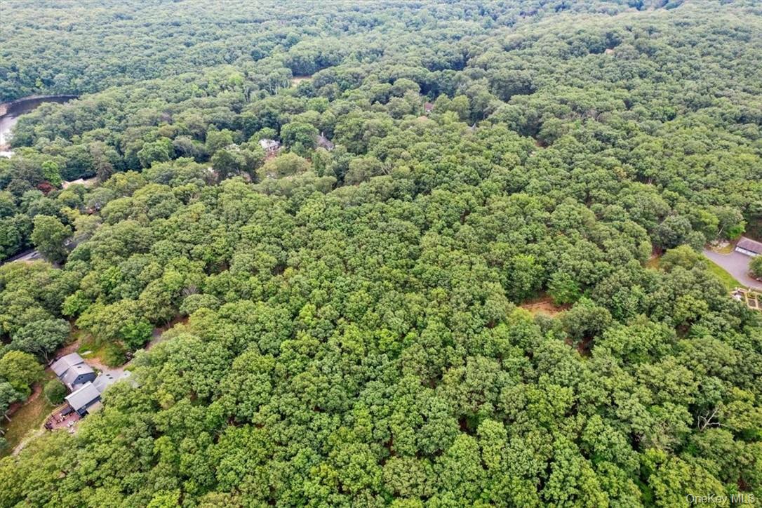 Stag Hill Road Monroe, NY 10950 - Photo 2 of 9 a view of a large yard with lots of green space
