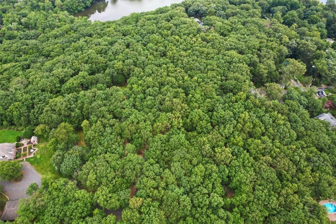 Stag Hill Road Monroe, NY 10950 - Photo 3 of 9 a view of a lush green forest with a houses