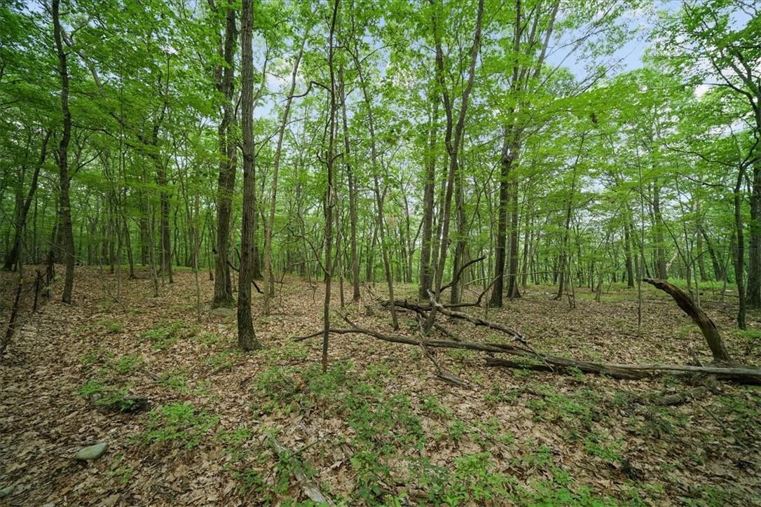Stag Hill Road Monroe, NY 10950 - Photo 5 of 9 a view of outdoor space with lots of trees