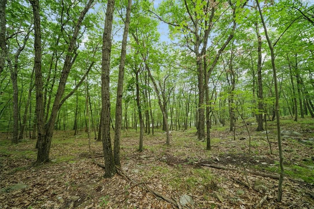 Stag Hill Road Monroe, NY 10950 - Photo 7 of 9 a view of outdoor space and green space