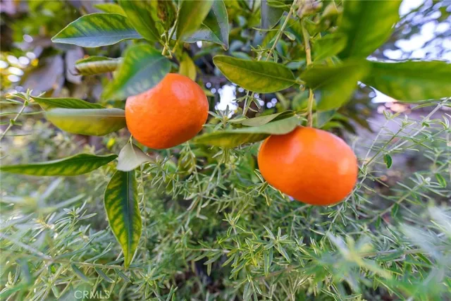 $1,025,000 | 11615 Groveside Avenue, Whittier, CA 90604