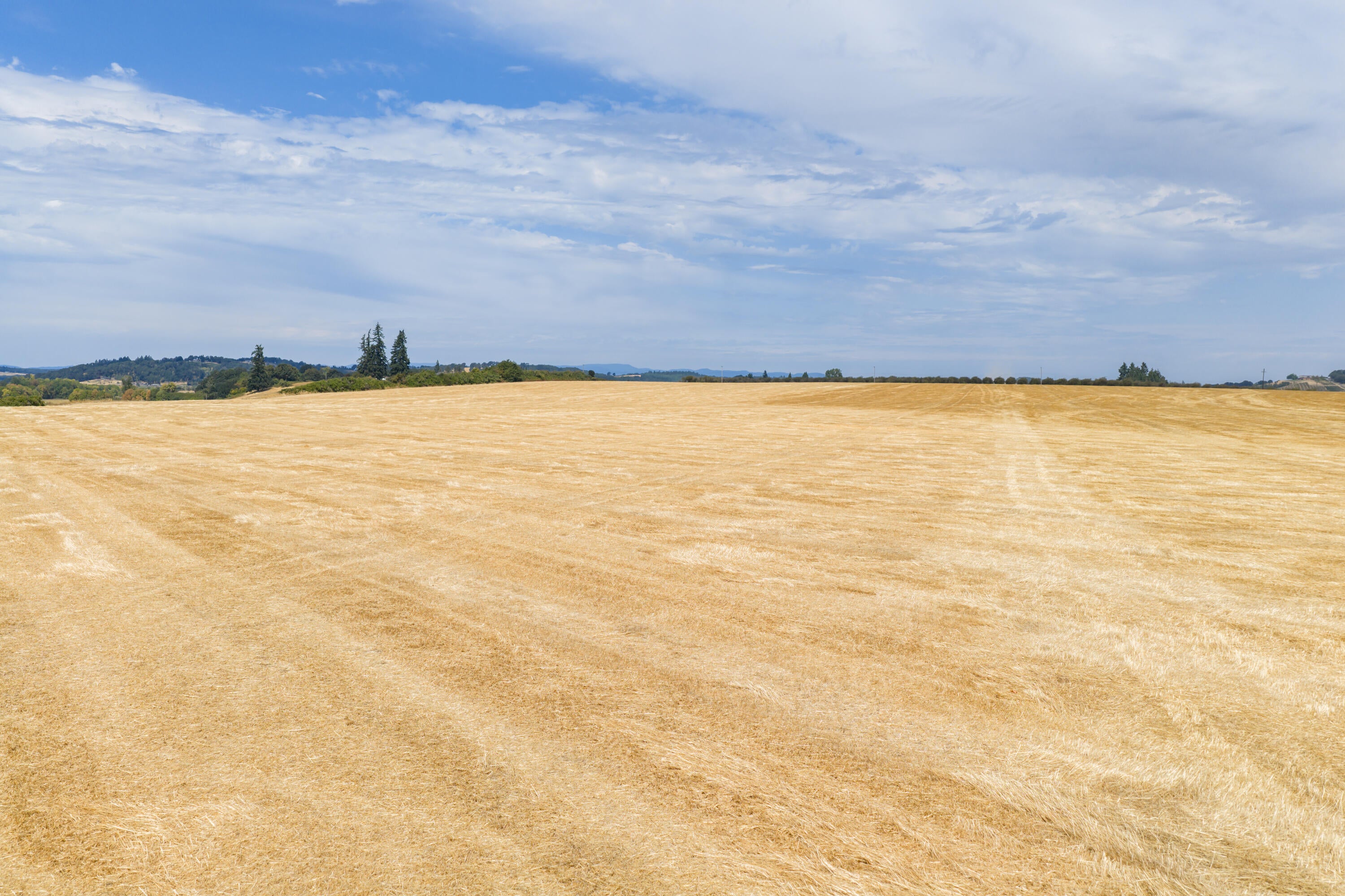 0 Smithfield Road Dallas, OR 97338 - Photo 13 of 18 Gallery Image 13
