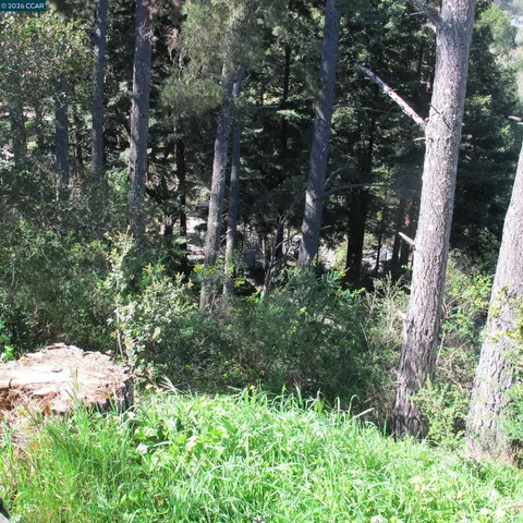 $600,000 | 0 Skyline Boulevard, Oakland, CA 94619