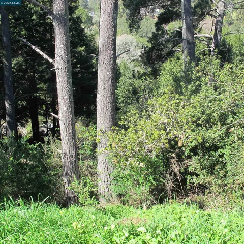 $600,000 | 0 Skyline Boulevard, Oakland, CA 94619