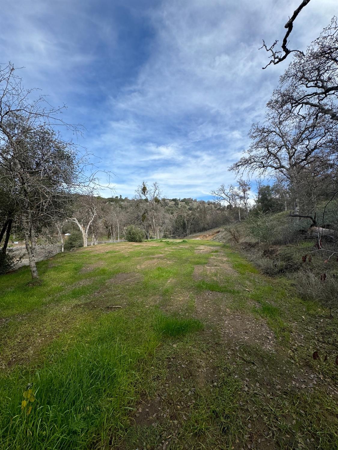 50293 Chuckwagon Road Squaw Valley, CA 93675 - Photo 6 of 18 Gallery Image 6
