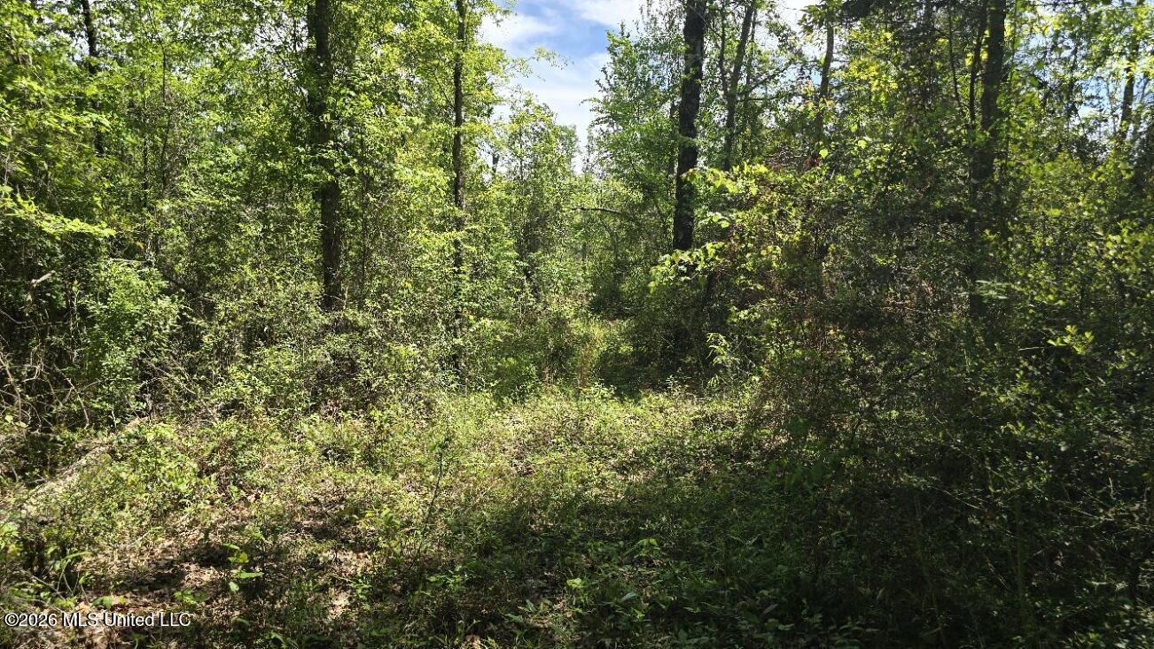 0 Mannings Crossing Road Jayess, MS 39641 - Photo 15 of 27 20260408_113959