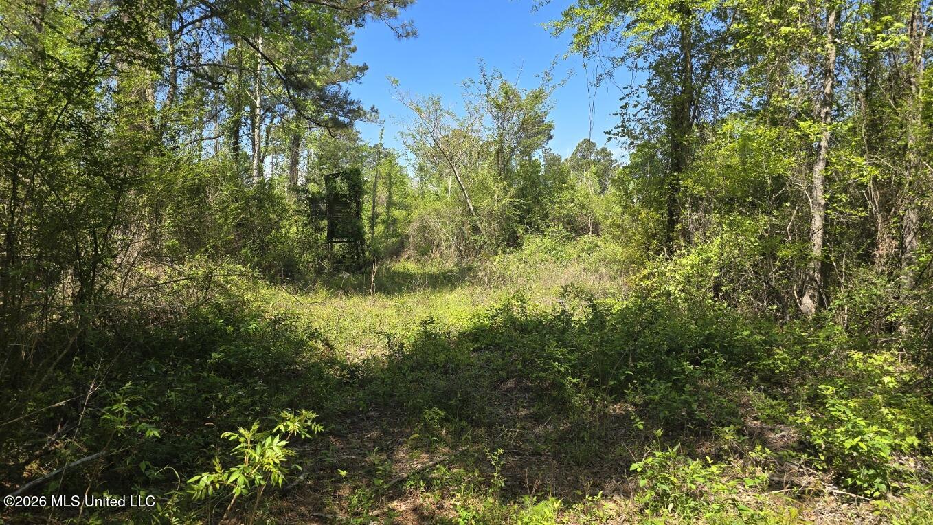 0 Mannings Crossing Road Jayess, MS 39641 - Photo 3 of 27 20260408_112244