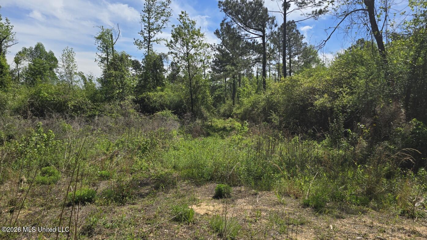 0 Mannings Crossing Road Jayess, MS 39641 - Photo 5 of 27 20260408_112404