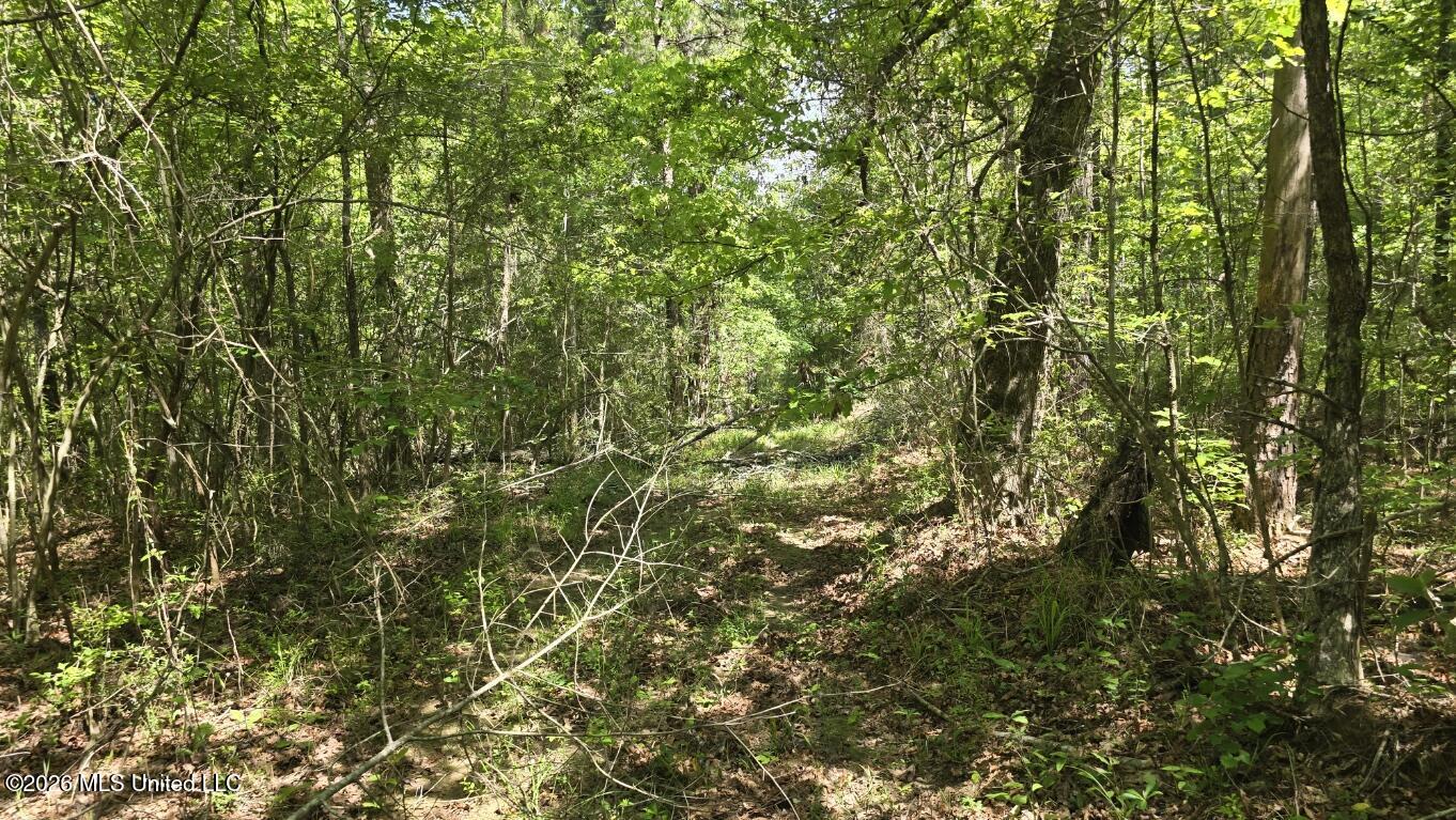 0 Mannings Crossing Road Jayess, MS 39641 - Photo 7 of 27 20260408_112615