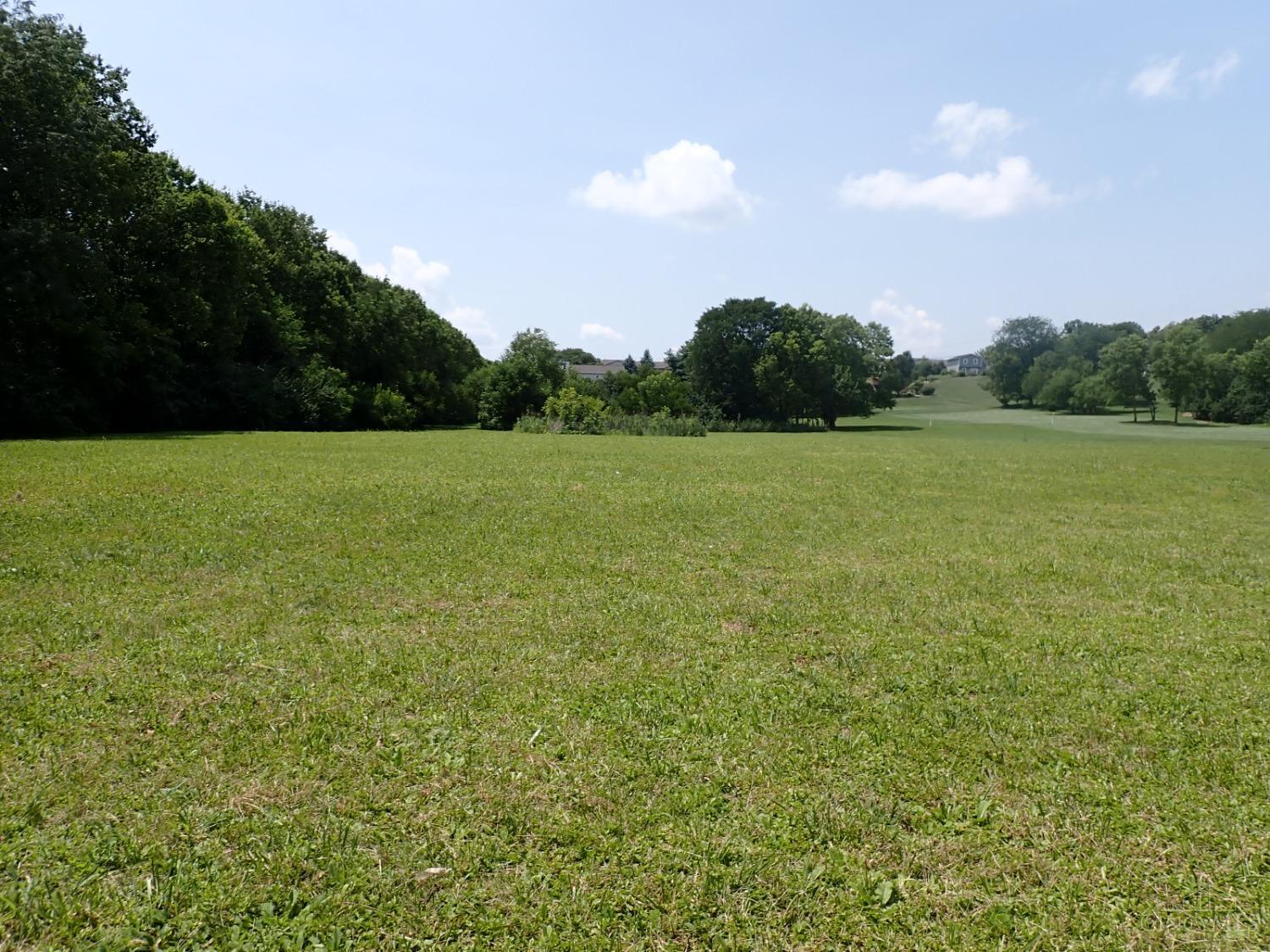7850 Morris Road Hamilton, OH 45011 - Photo 4 of 52 Rear property behind fenced pasture area. In the distance, can see house roof.