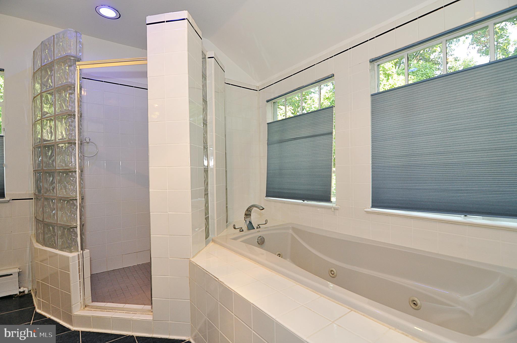 2721 South Arlington Ridge Road Arlington, VA 22202 - Photo 23 of 33 a bathroom with a bathtub and a sink