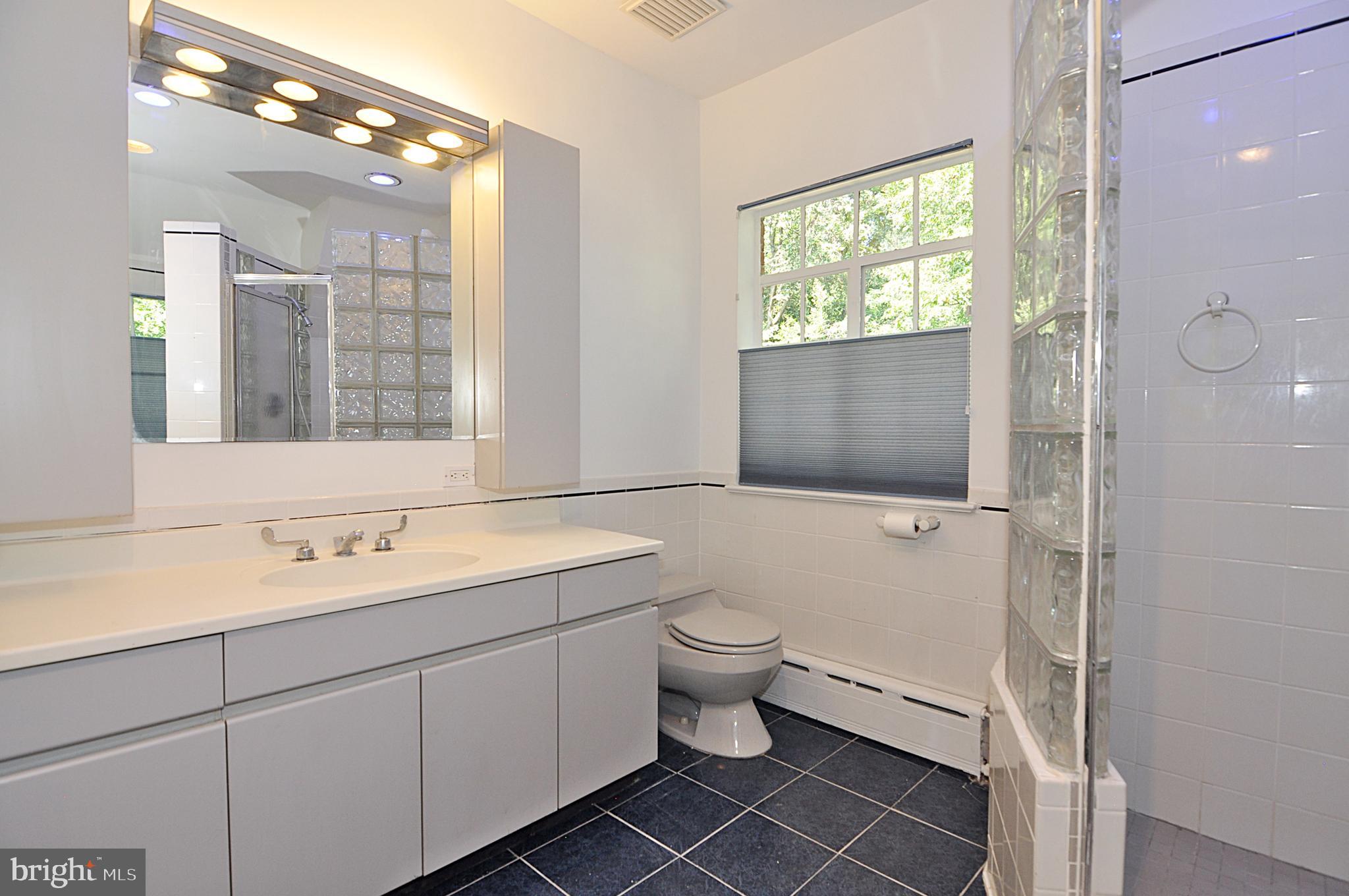 2721 South Arlington Ridge Road Arlington, VA 22202 - Photo 24 of 33 a bathroom with a double vanity sink toilet mirror and bathtub