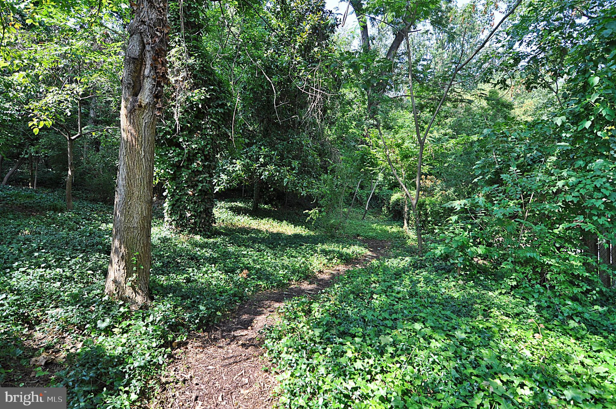 2721 South Arlington Ridge Road Arlington, VA 22202 - Photo 31 of 33 a view of outdoor space and trees